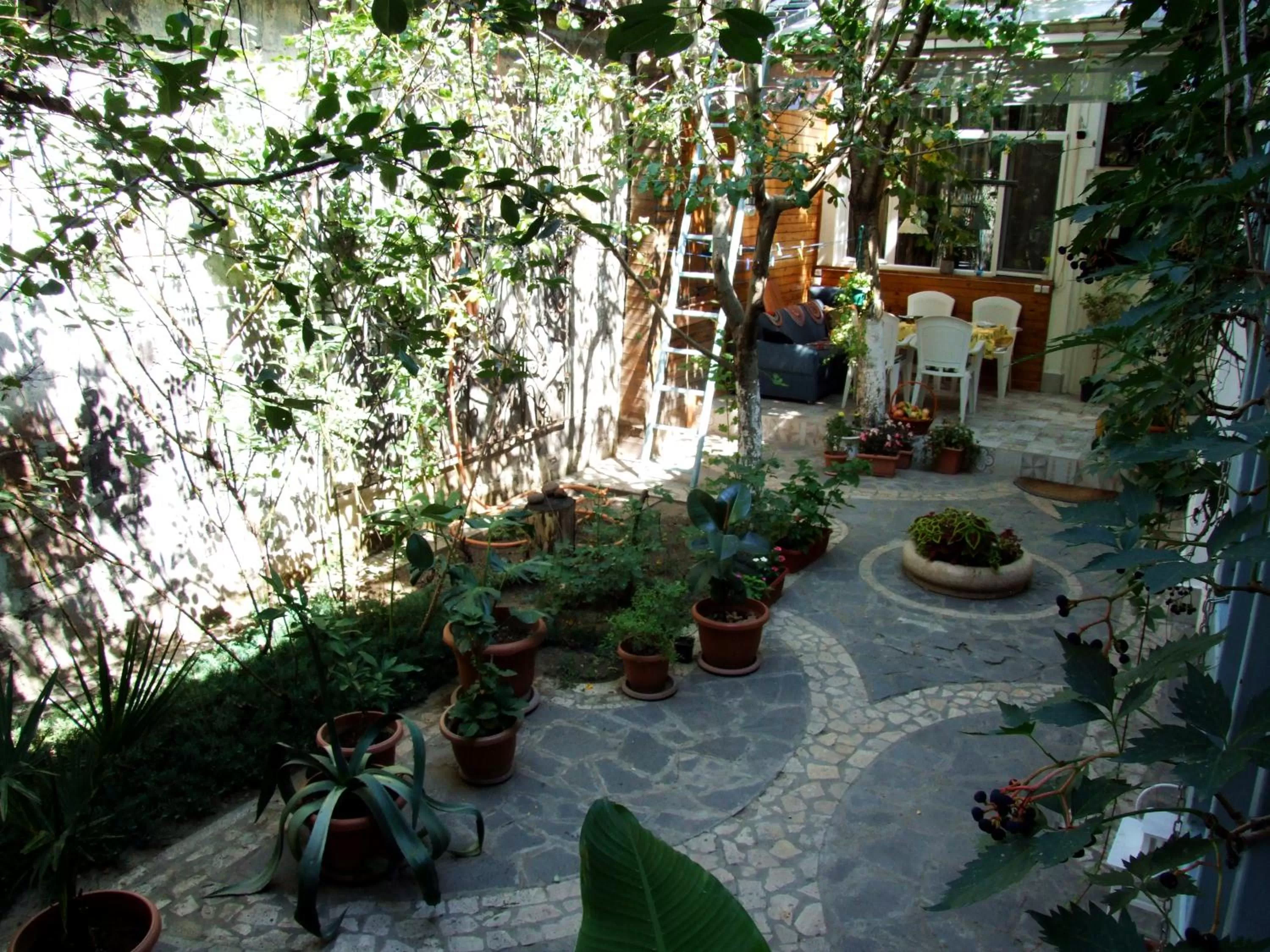 Garden in Armine's B&B