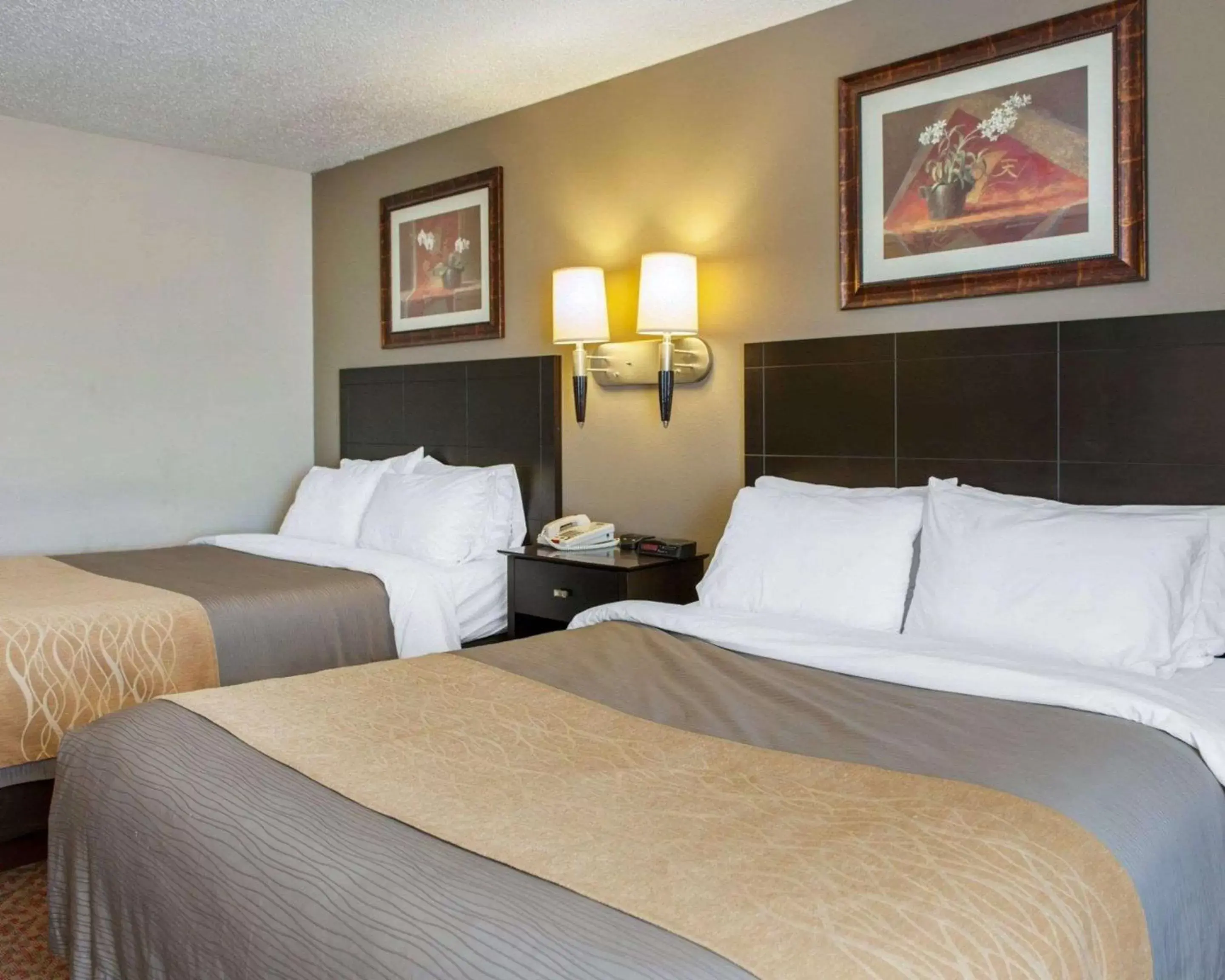 Photo of the whole room, Bed in Comfort Inn Near Ouabache State Park