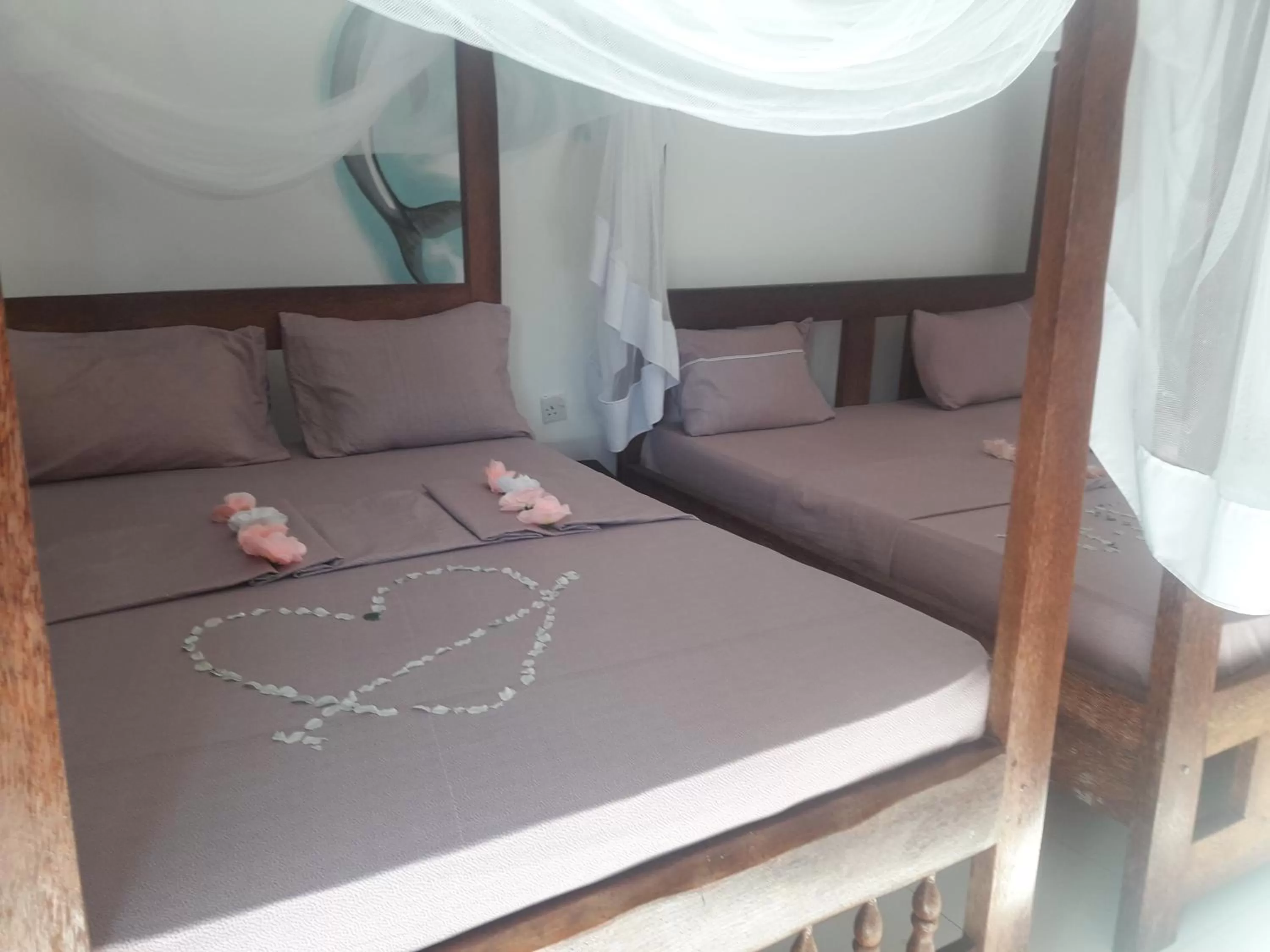 Photo of the whole room in Ebony & Ivory Beach Bungalows