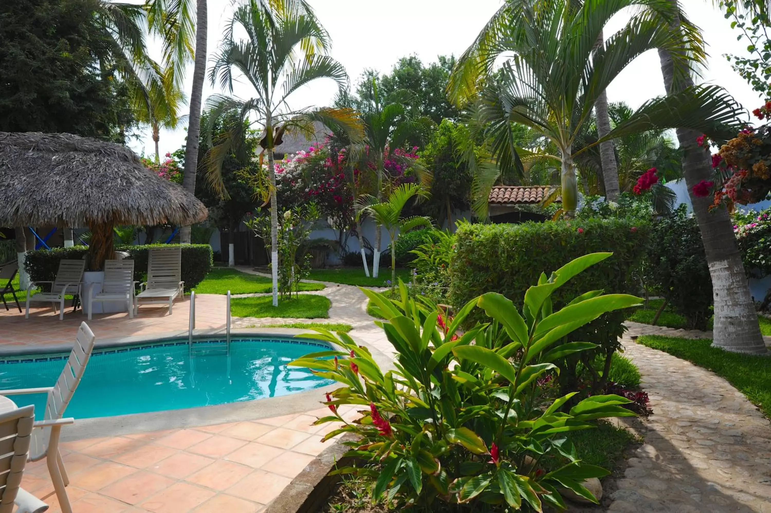 Garden, Swimming Pool in Hotel Casamar Suites