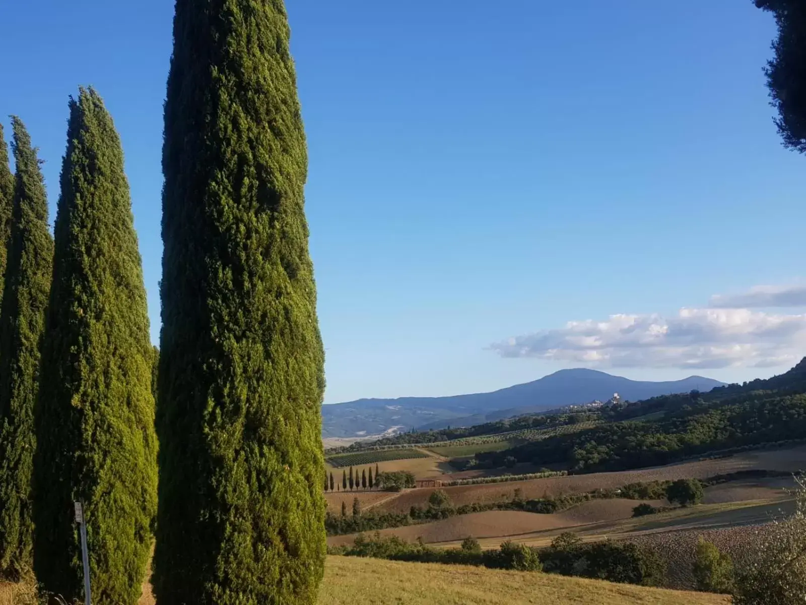 Nearby landmark in Palazzetto del Pittore