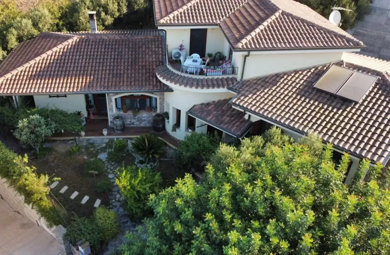 View (from property/room), Bird's-eye View in B&B Ottoulivi