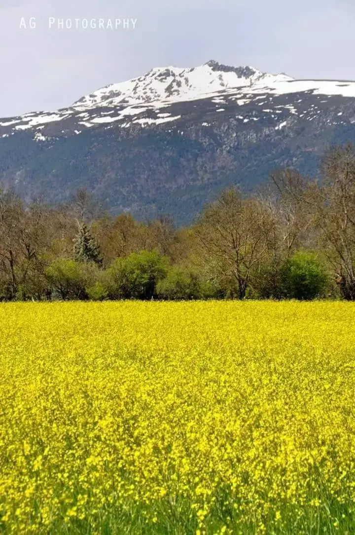 Hiking, Natural Landscape in Posada el Campanario