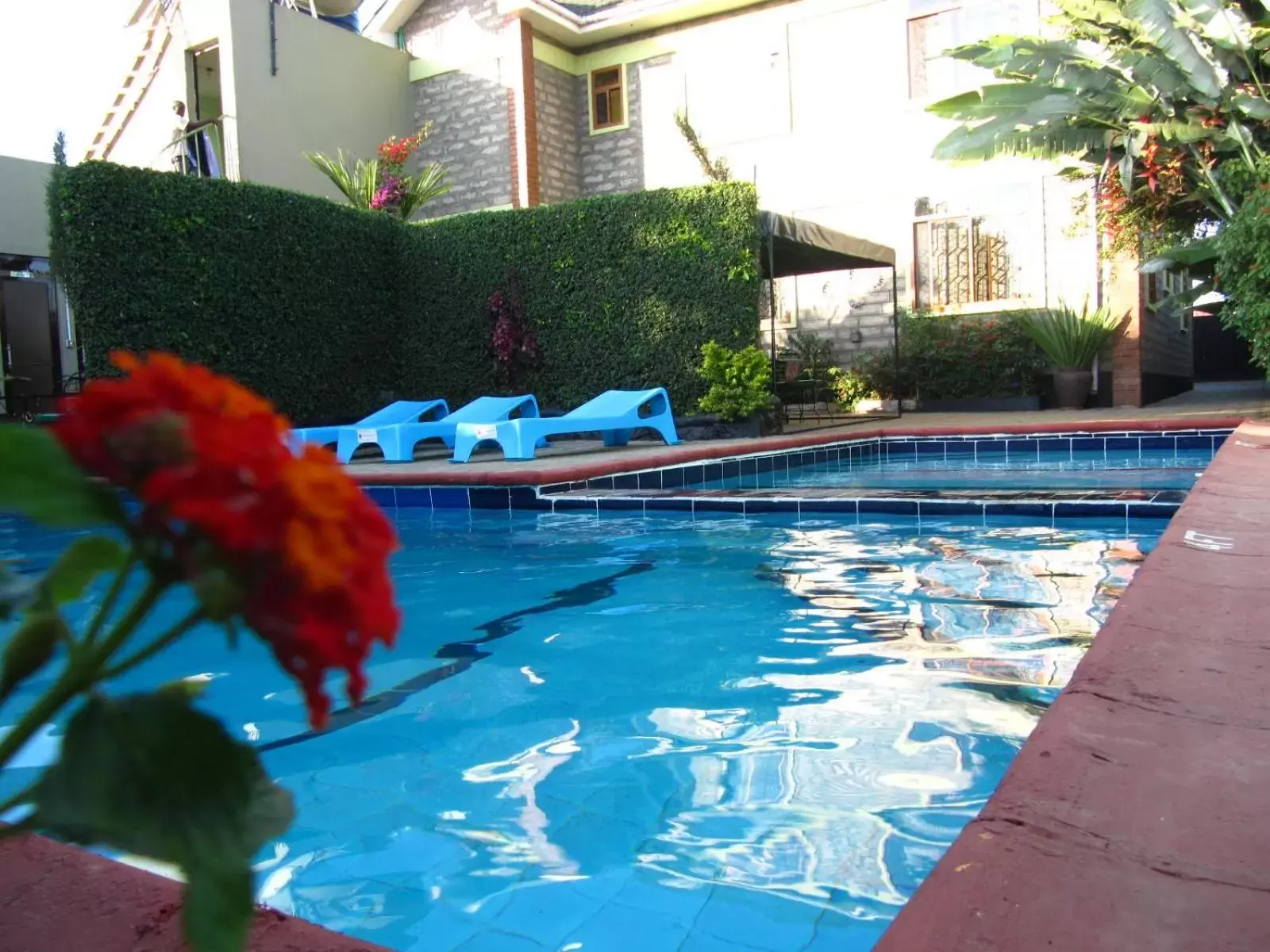 Swimming Pool in Korona House Hotel