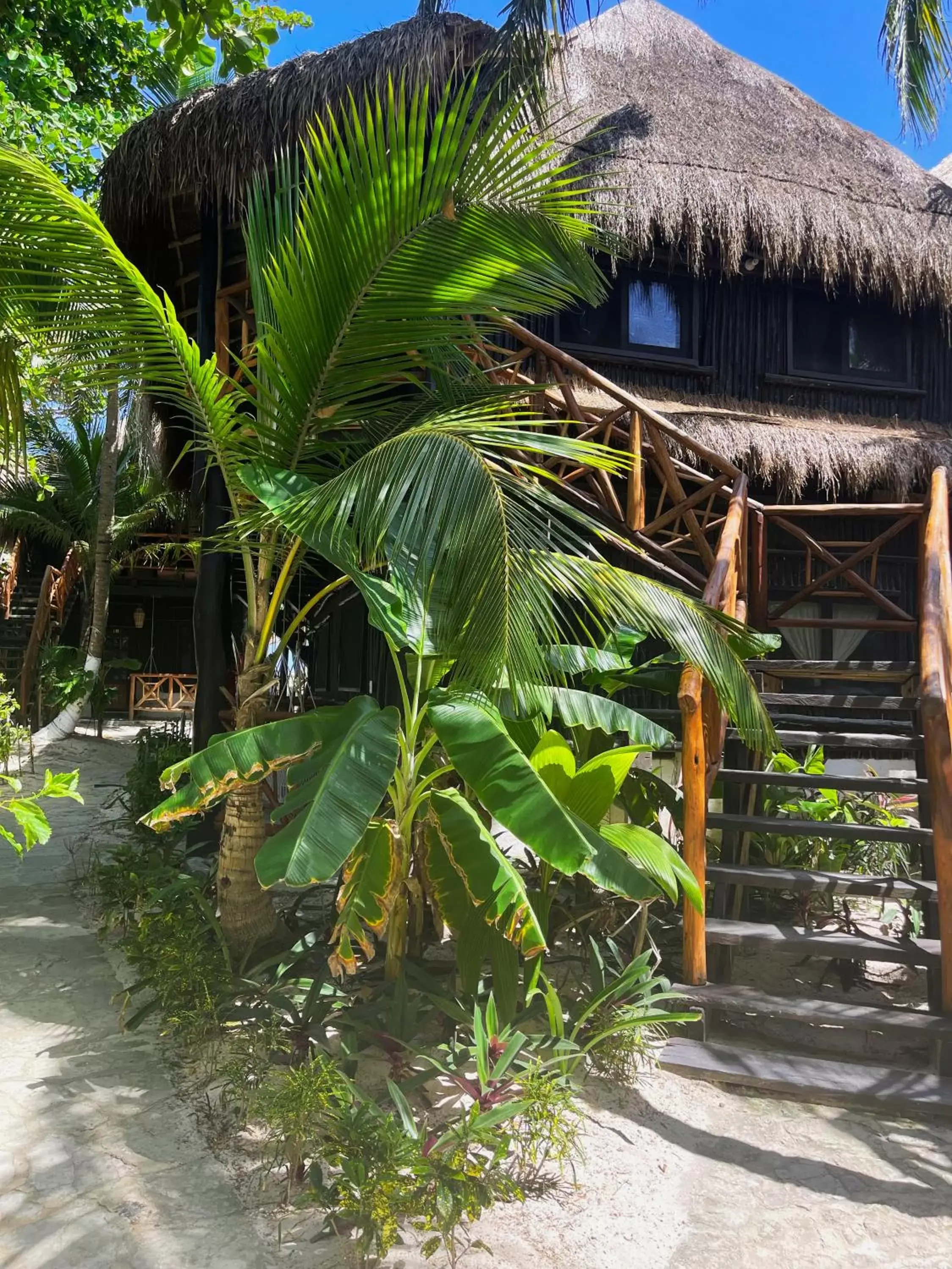 Patio, Garden in Sivana Tulum