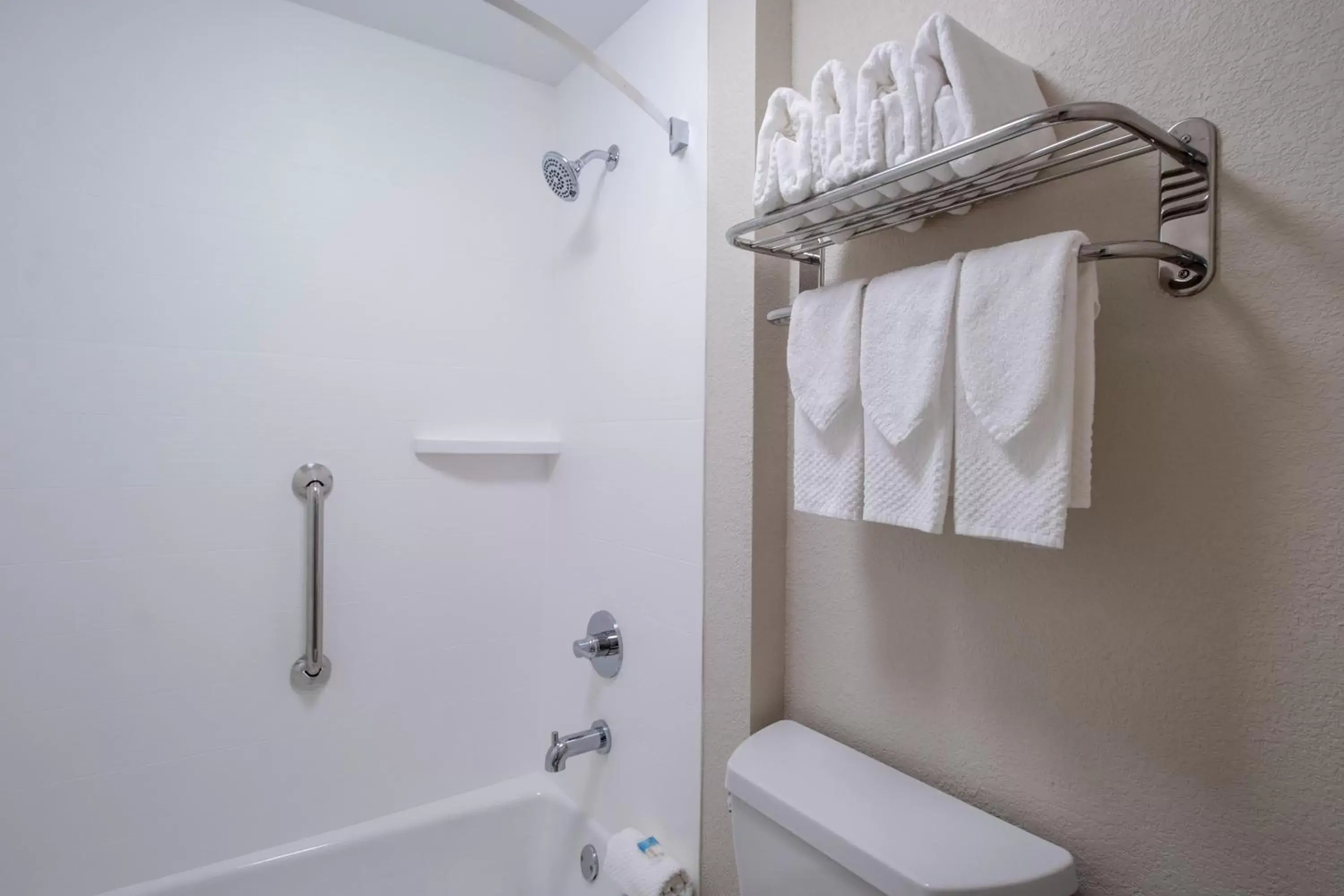 Shower, Bathroom in Econo Lodge Inn & Suites Foley-North Gulf Shores