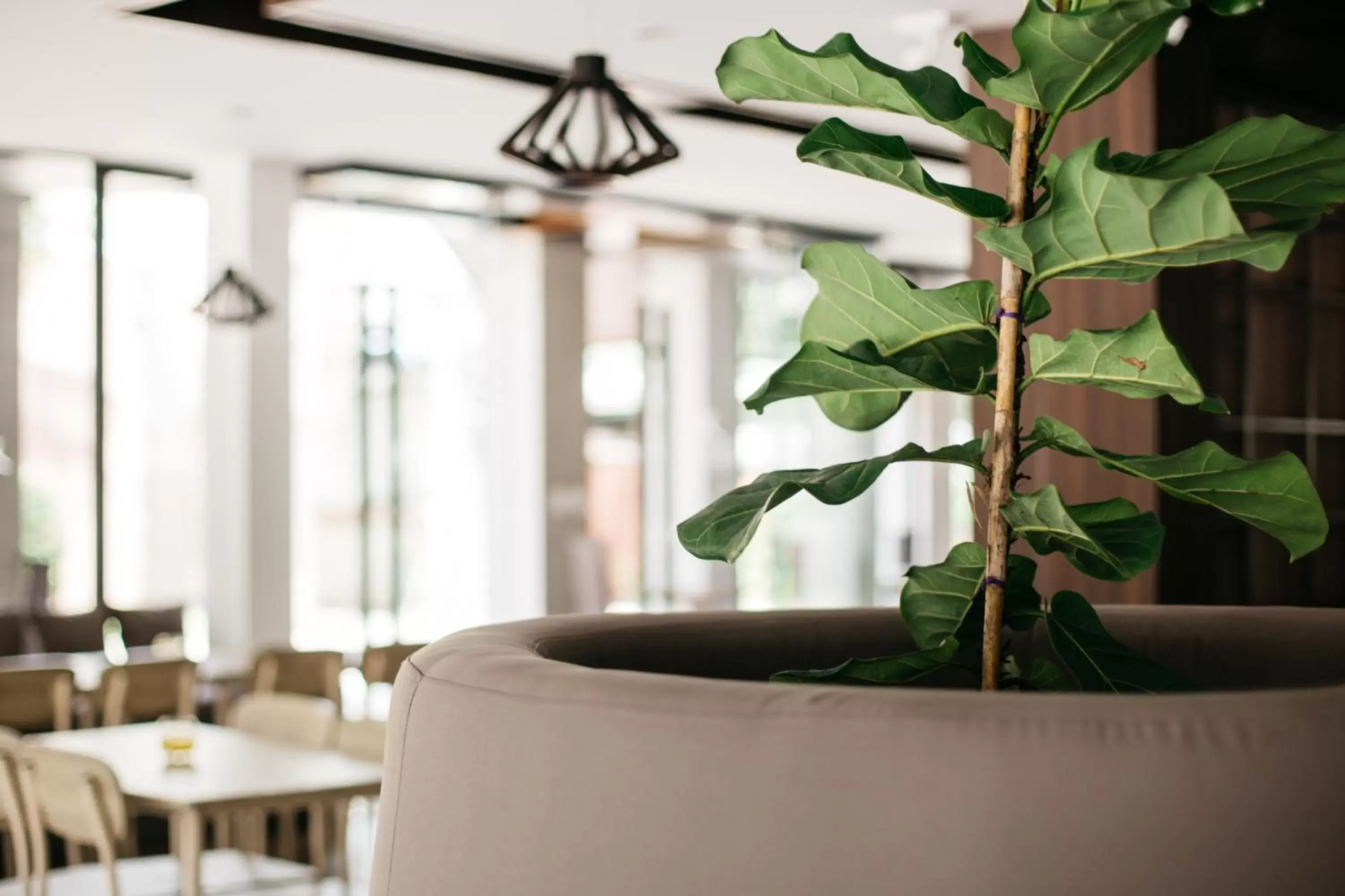 Restaurant/places to eat in Diamond Park Inn Chiangrai & Resort Restaurant/places to eat in Diamond Park Inn Chiangrai & Resort