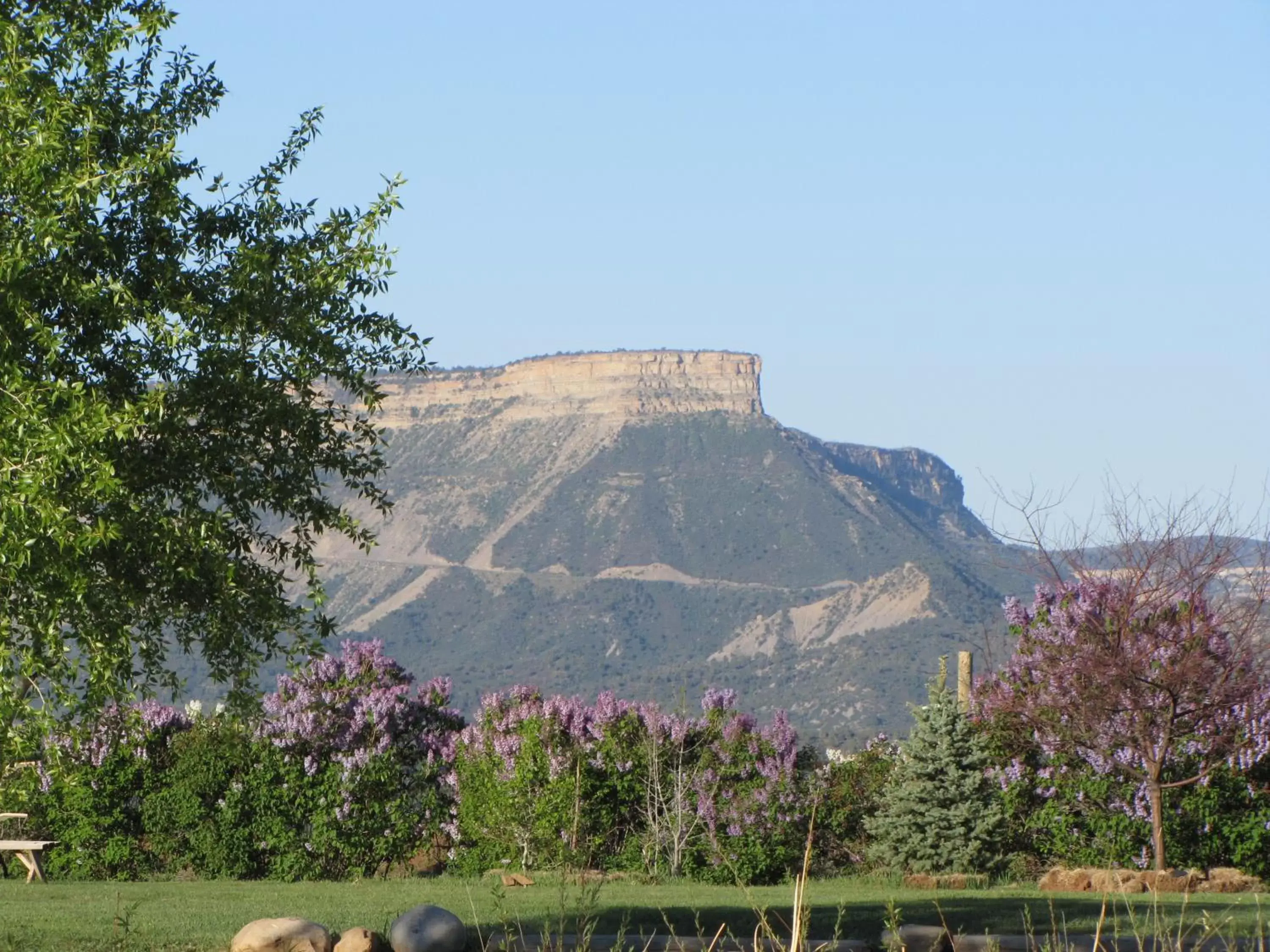 Mountain View in Starry Nights Ranch Bed & Breakfast