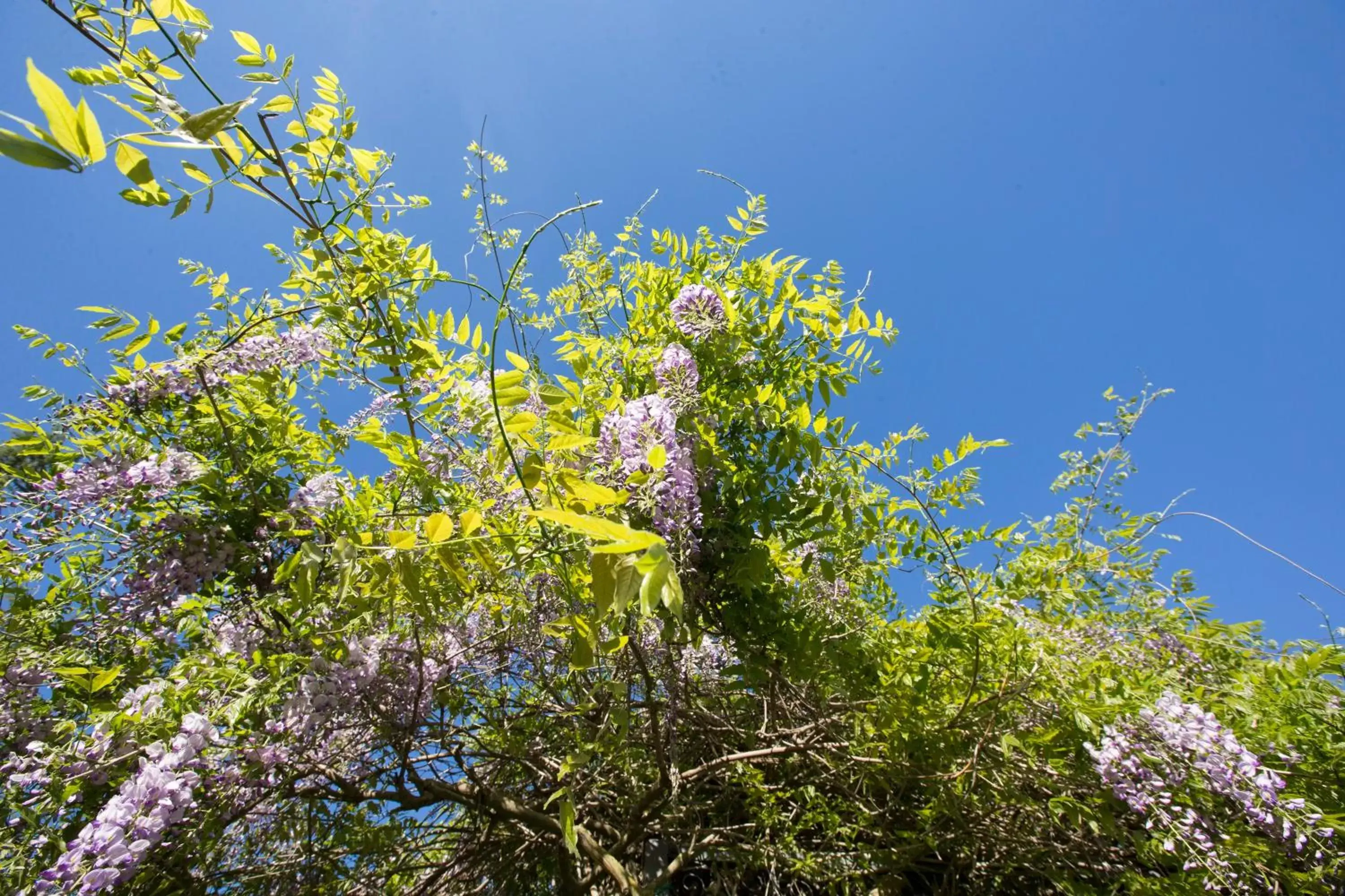 Natural landscape in Sotto Il Cielo Hotel