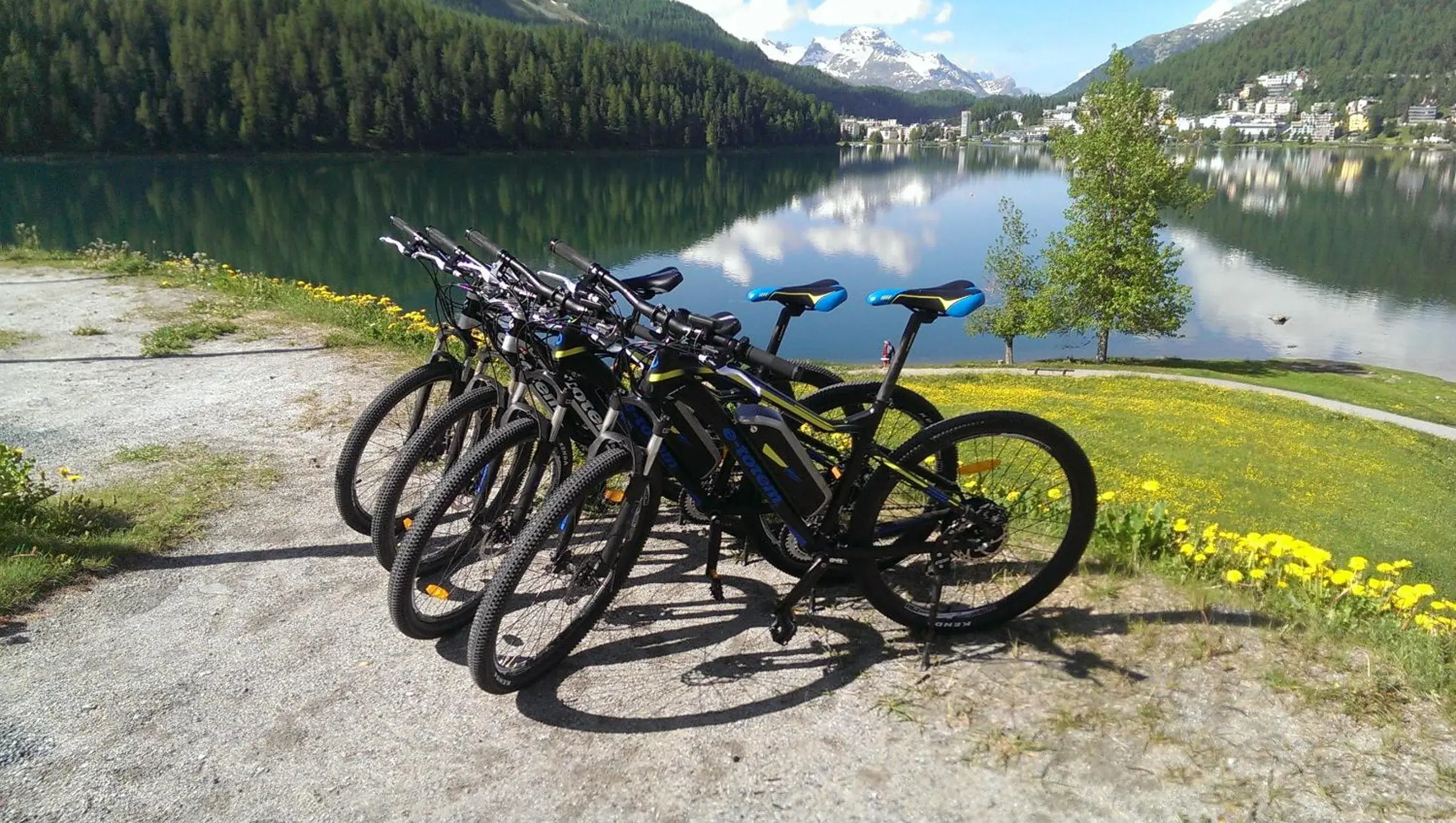 Cycling, Other Activities in Hotel Waldhaus am See