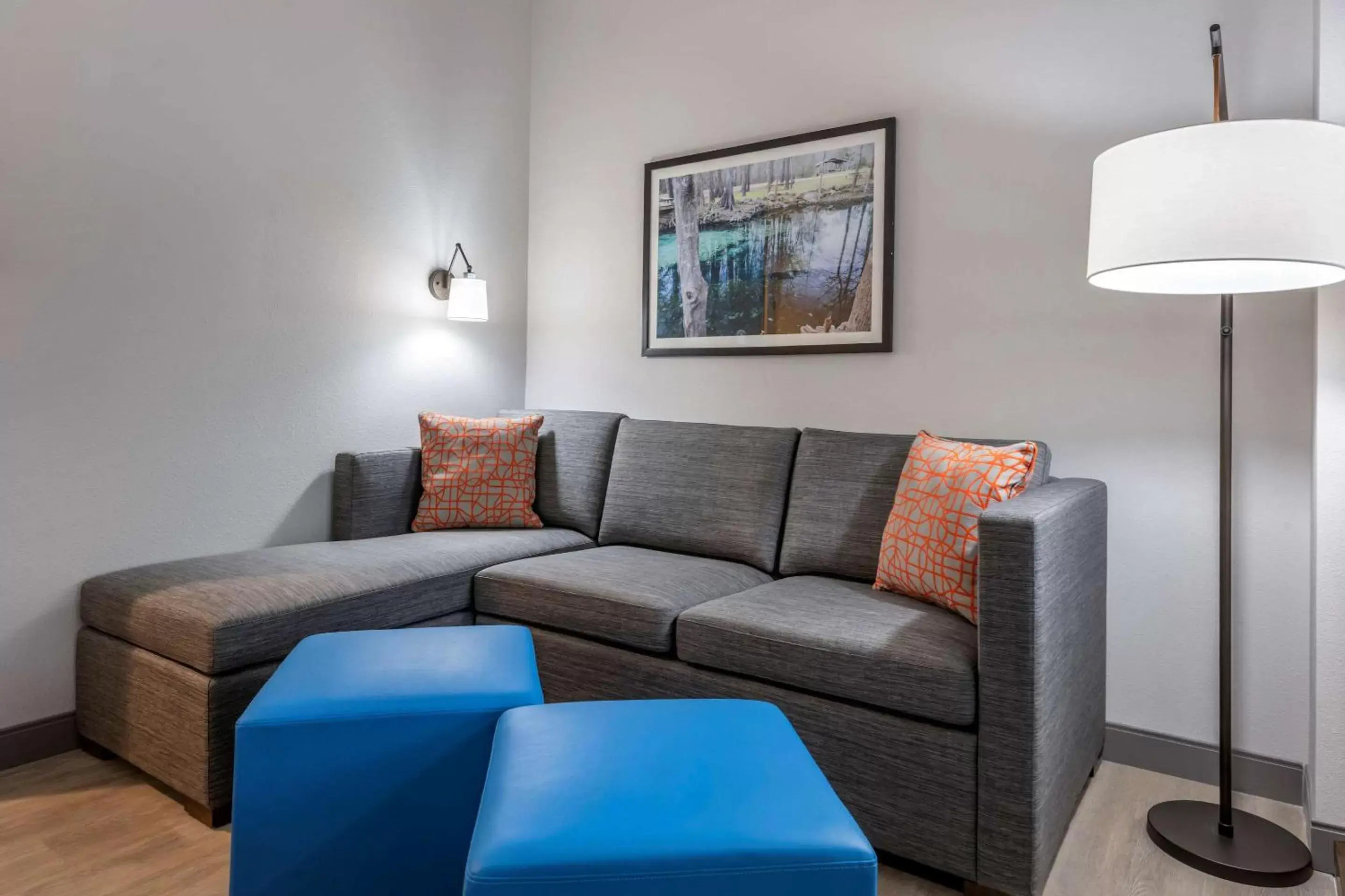 Living room, Seating Area in Comfort Suites Gainesville Near University