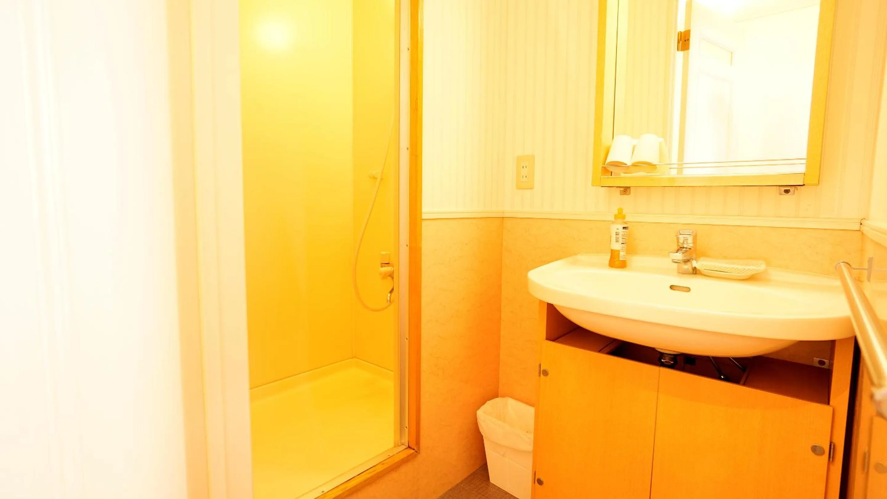 Shower in House Ikebukuro