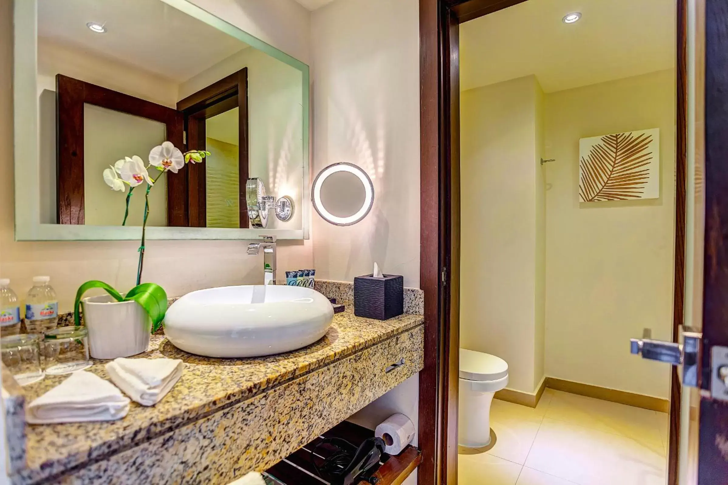 Toilet, Bathroom in Royalton Punta Cana, An Autograph Collection All-Inclusive Resort & Casino