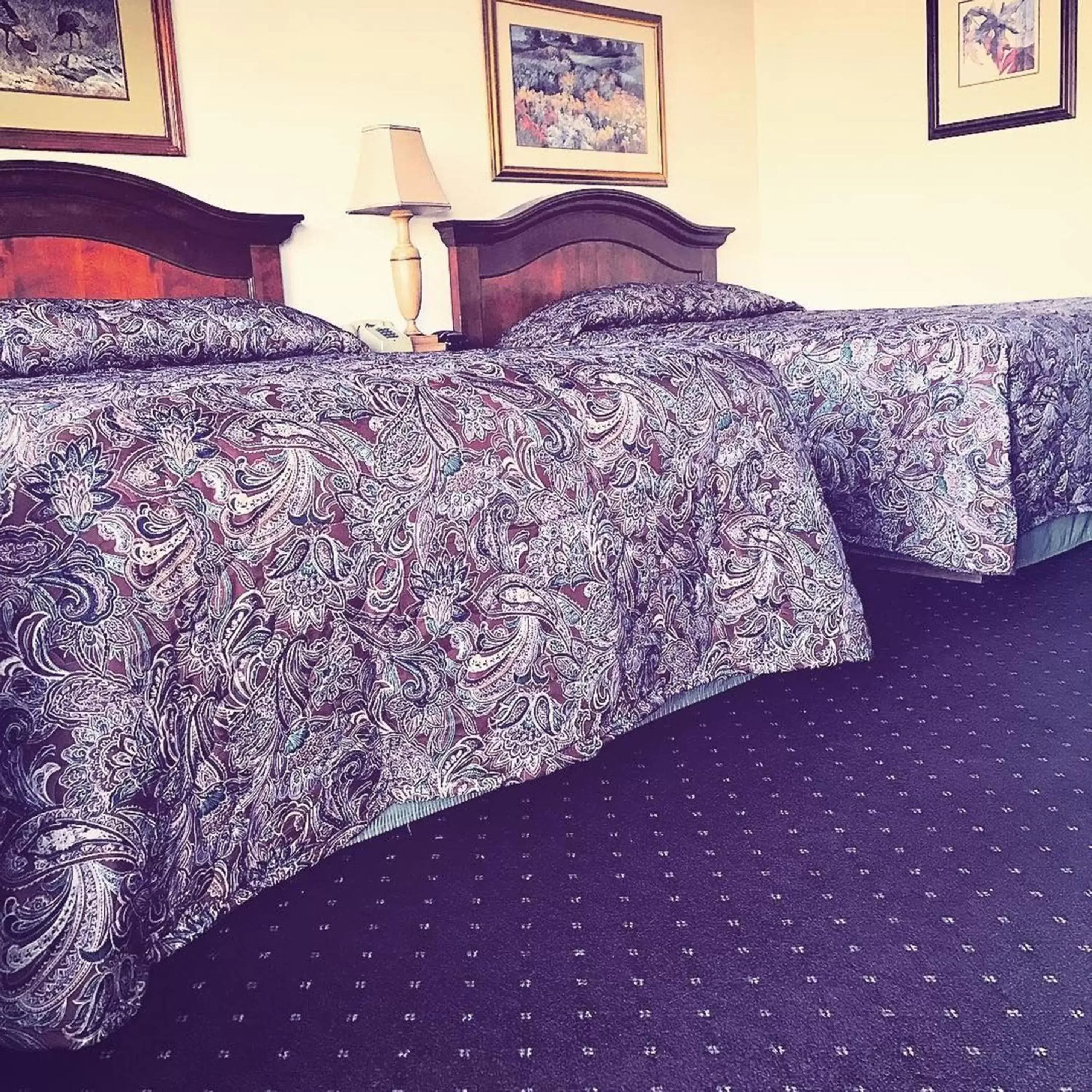 Standard Family Room in Budget Inn Express Helena Standard Family Room in Budget Inn Express Helena