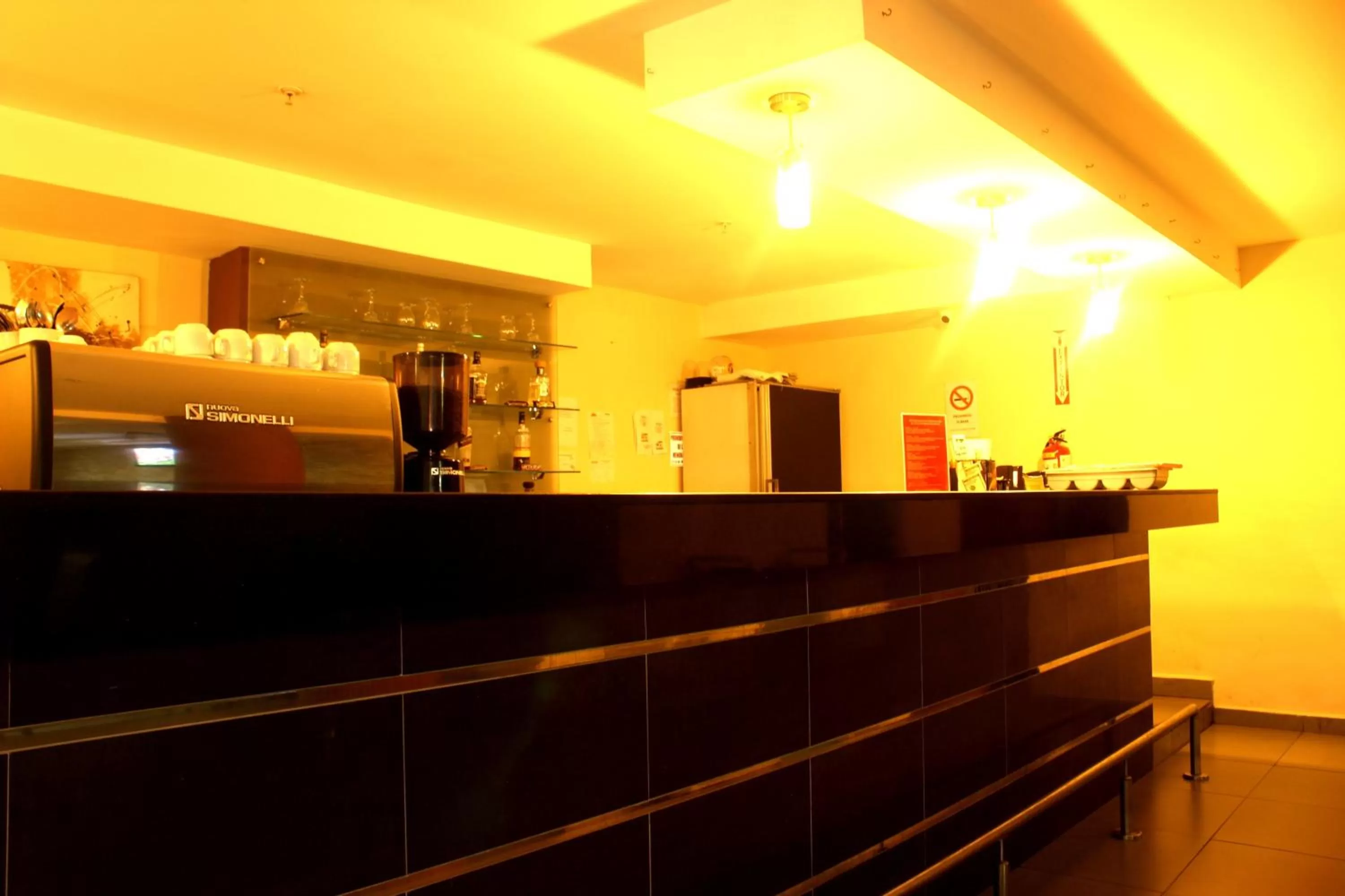 Lounge or bar in Hotel Terranova