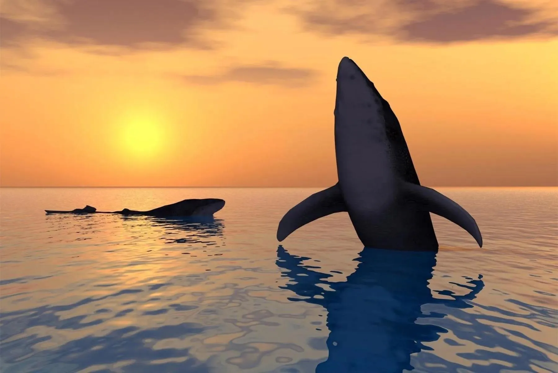 Ningaloo Lodge Exmouth