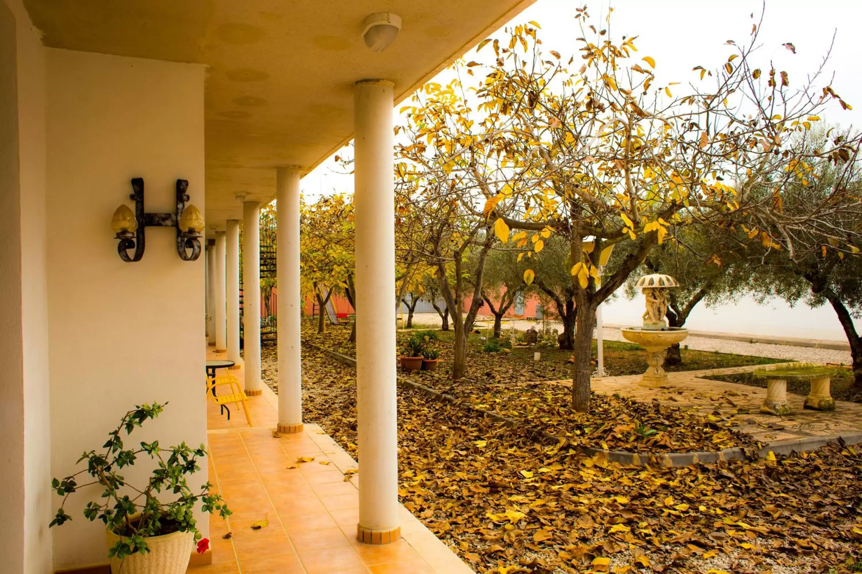 Garden in Hotel Bon Lloc