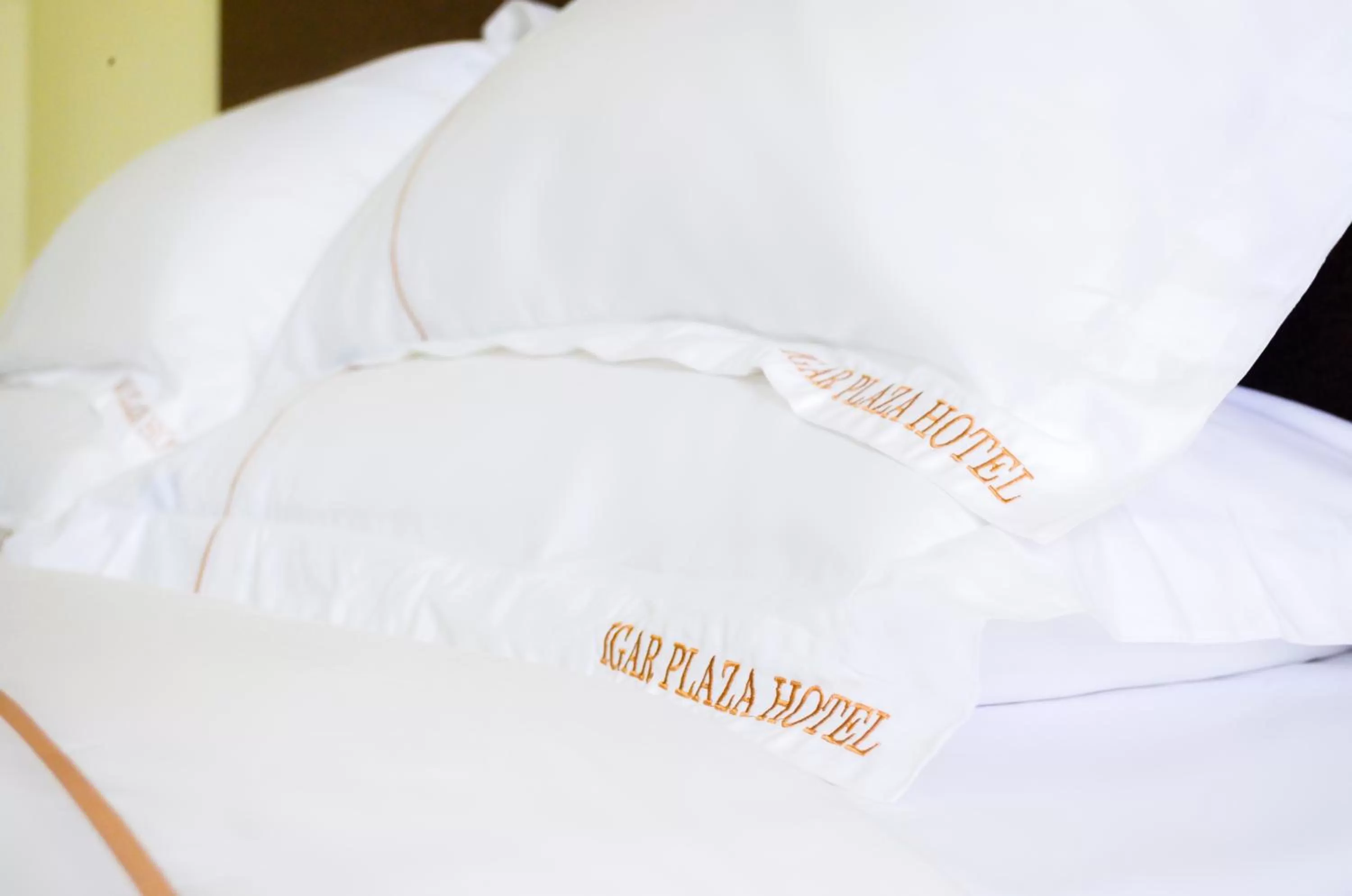 Decorative detail in Igar Plaza Hotel