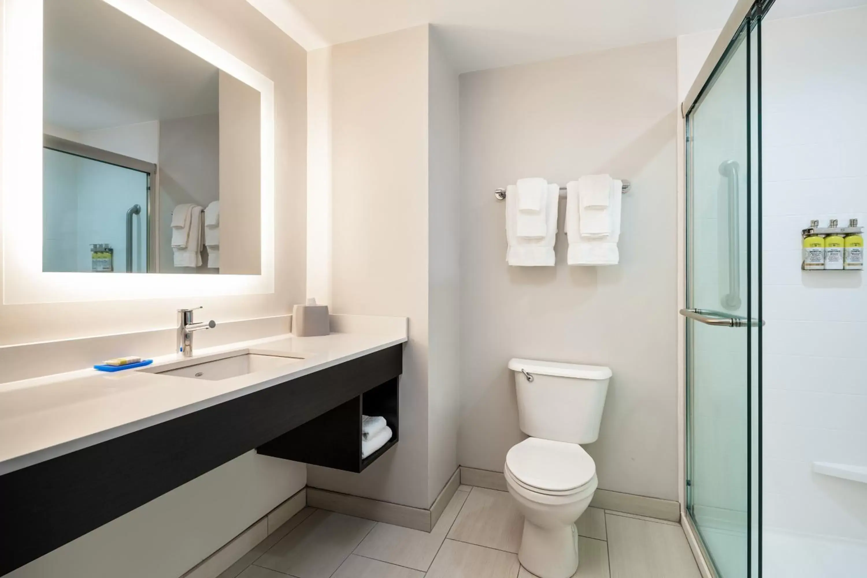 Bathroom in Holiday Inn Express & Suites Florence, an IHG Hotel