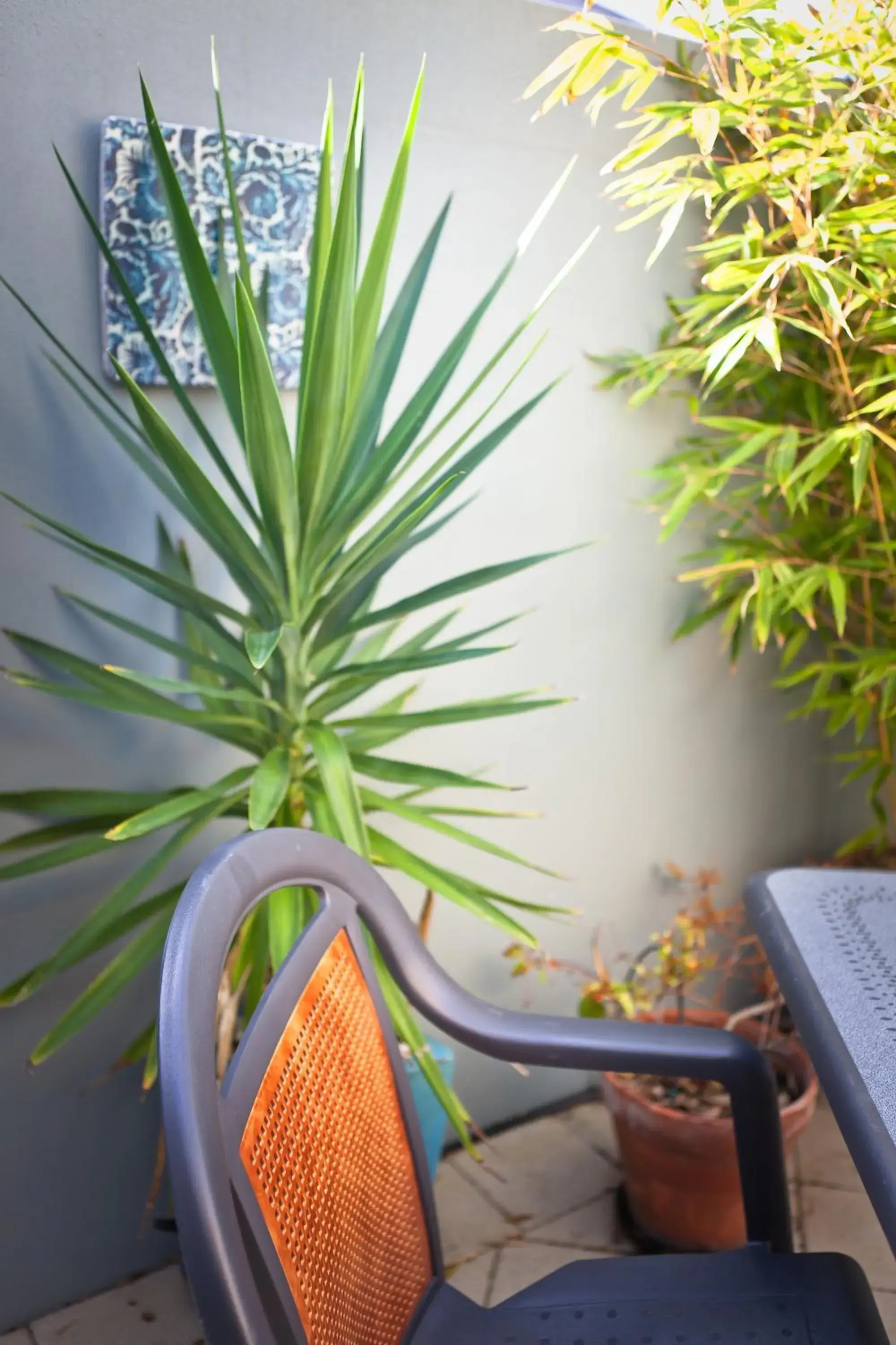 Patio in The Beach House At Bayside