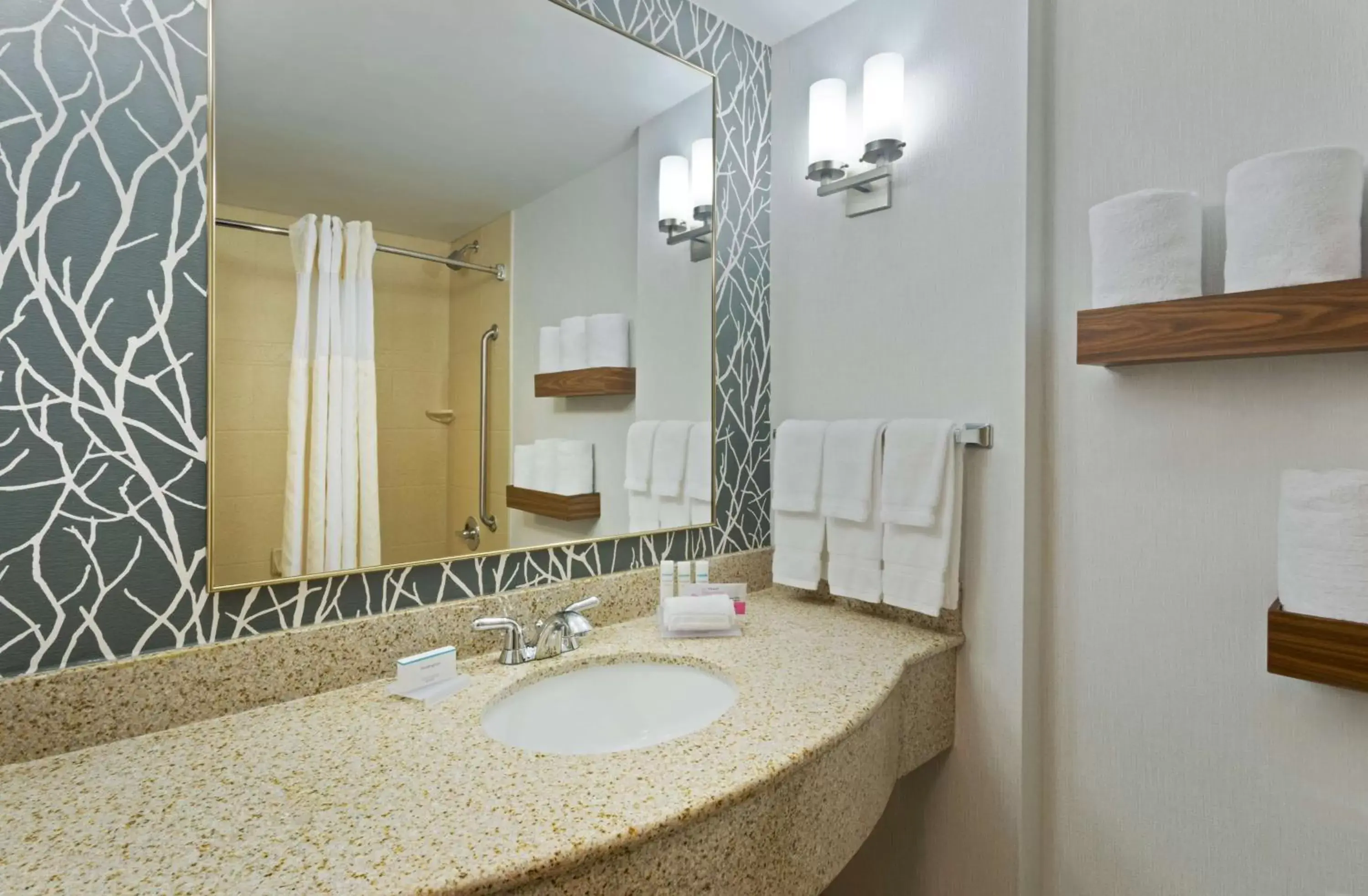 Bathroom in Hilton Garden Inn Annapolis