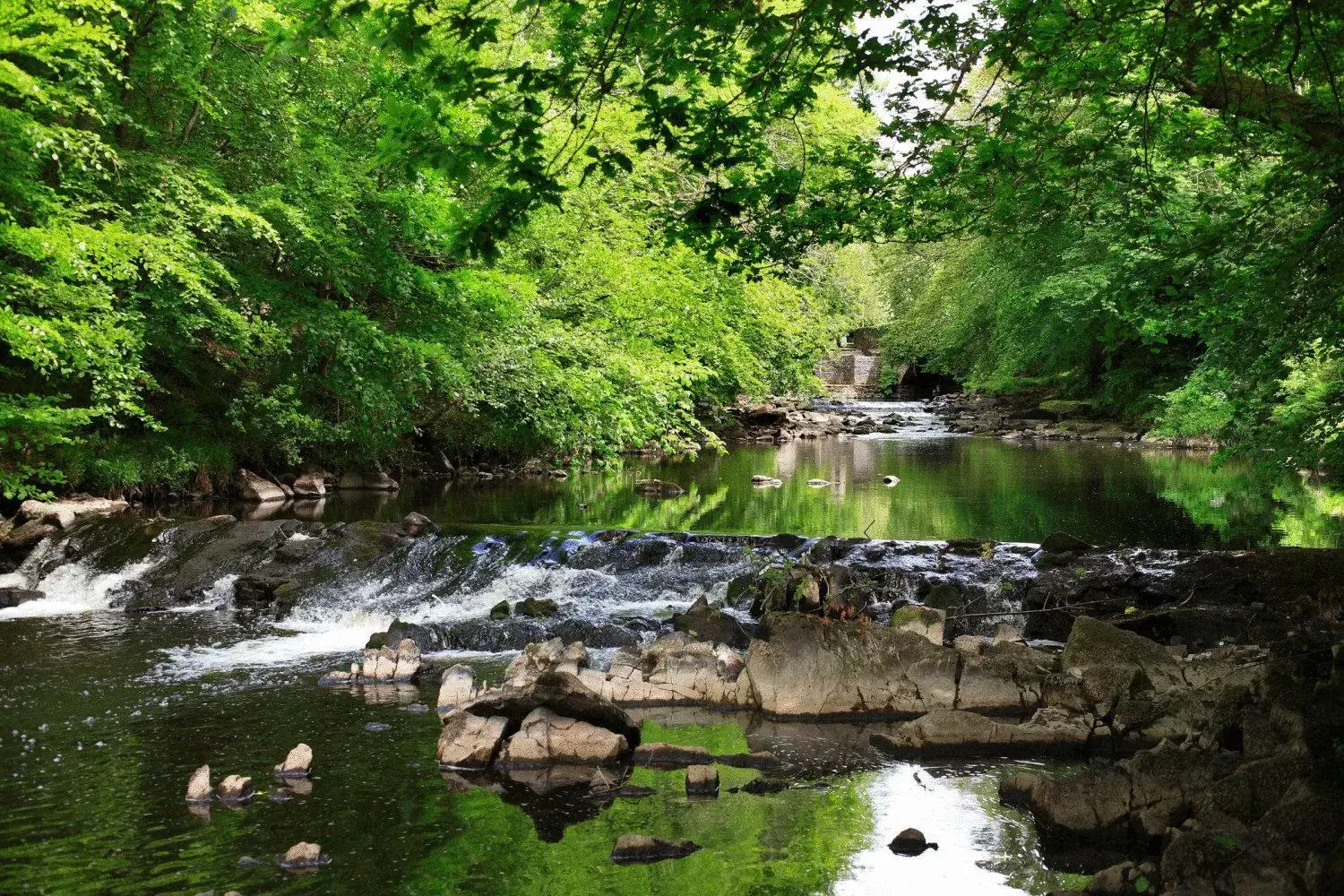 Area and facilities, Natural Landscape in Inishowen Gateway Hotel