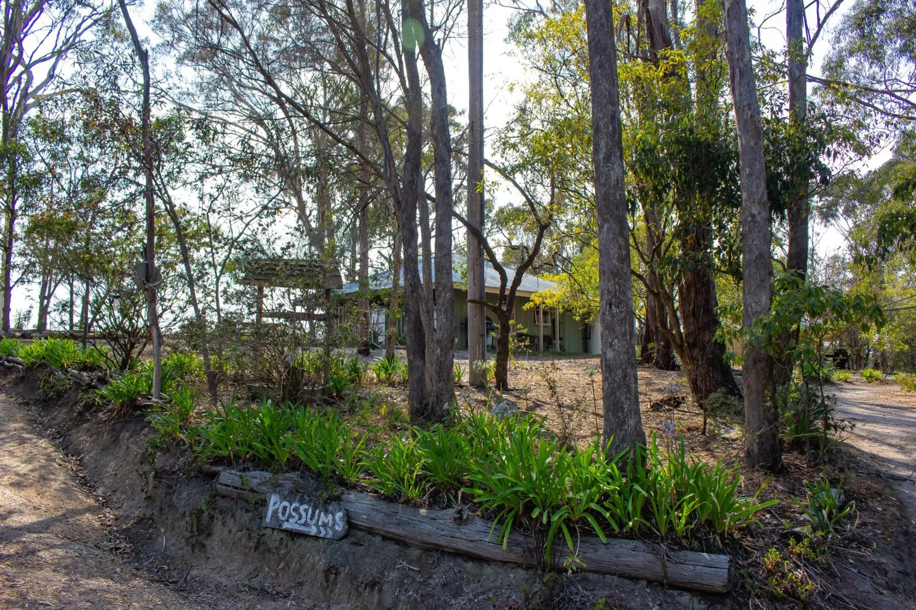 Garden in Kalimna Woods Cottages