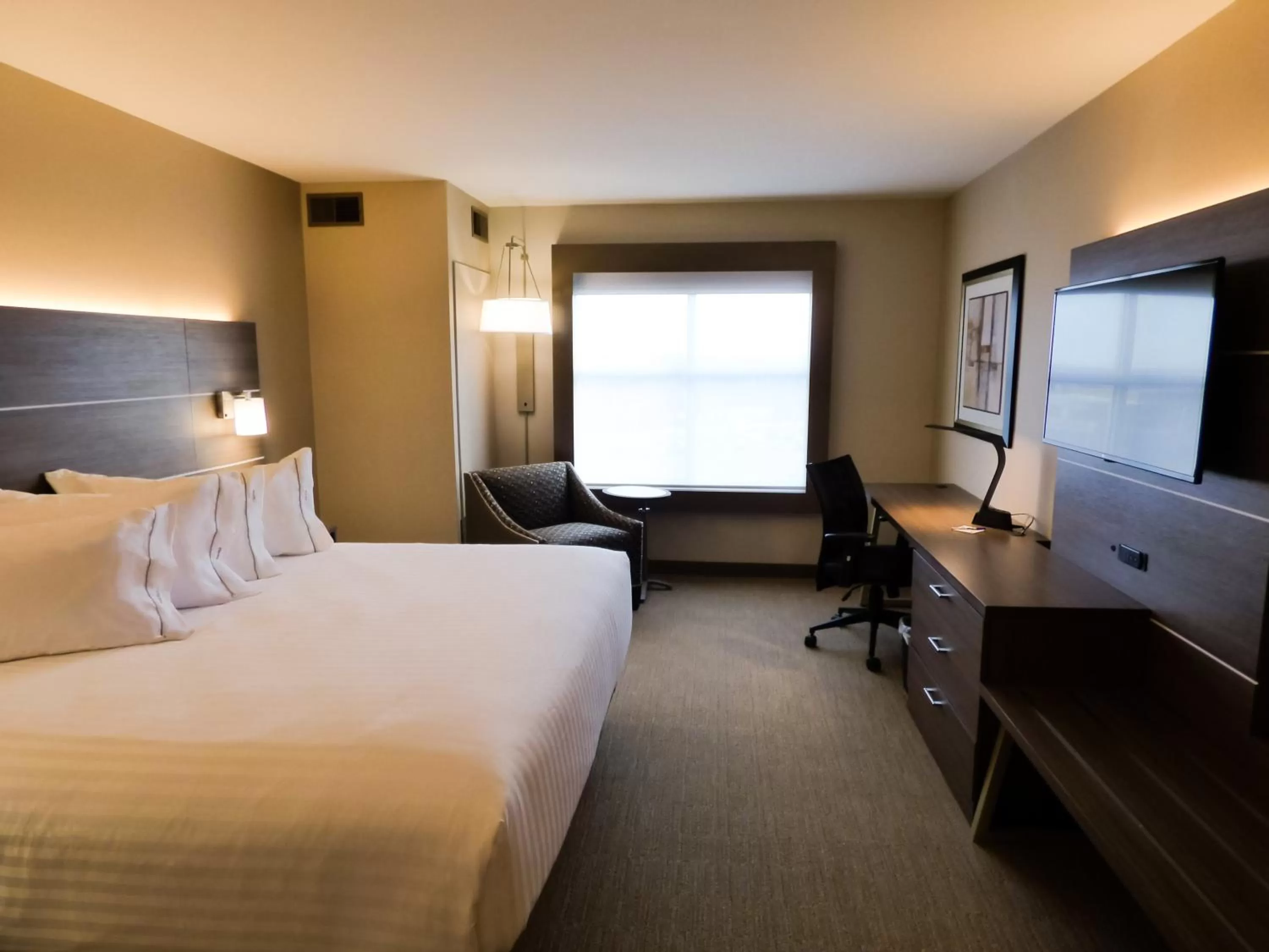 Photo of the whole room, Bed in Holiday Inn Express & Suites Plymouth - Ann Arbor Area by IHG