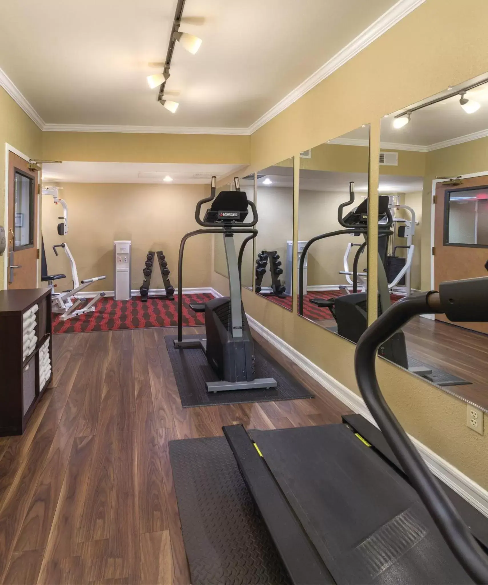 Fitness centre/facilities, Fitness Center/Facilities in Peacock Suites