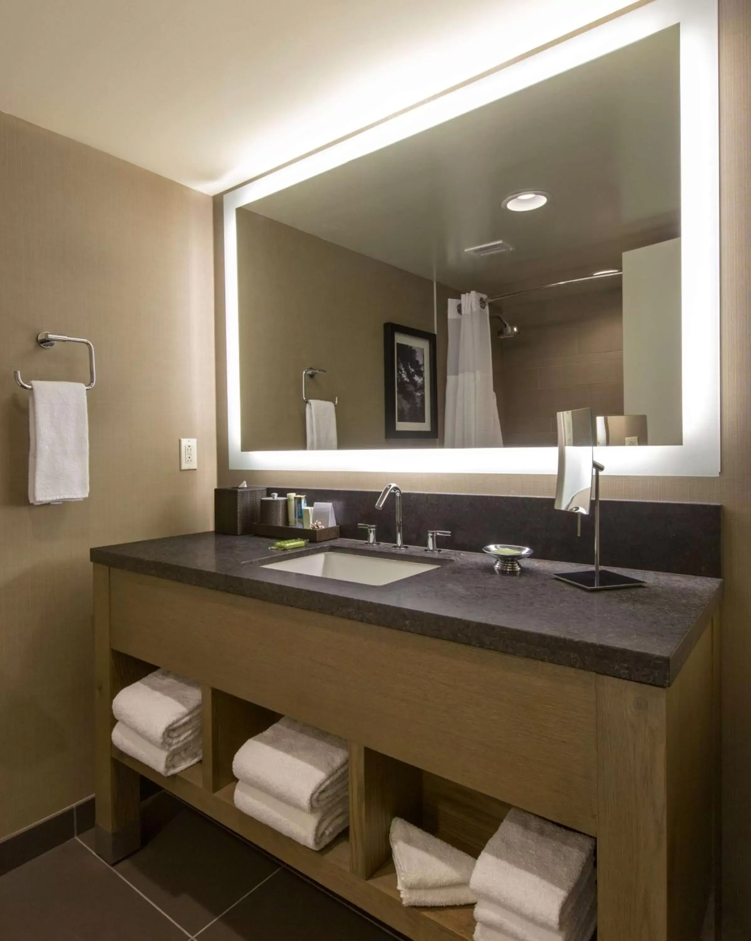 Bathroom in Hyatt Regency Lake Tahoe Resort, Spa & Casino