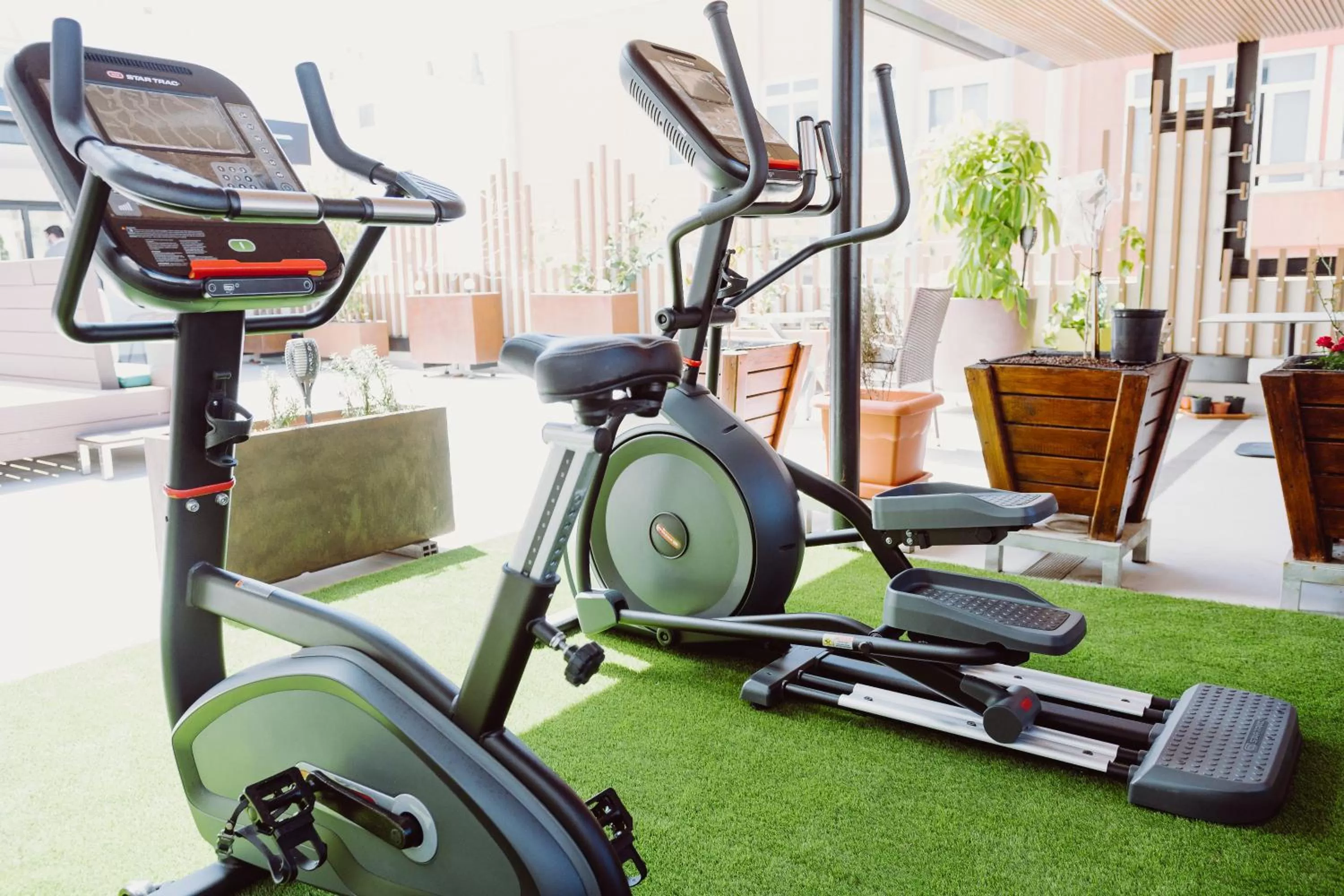 Activities in Catalina Plaza Hotel Sostenible