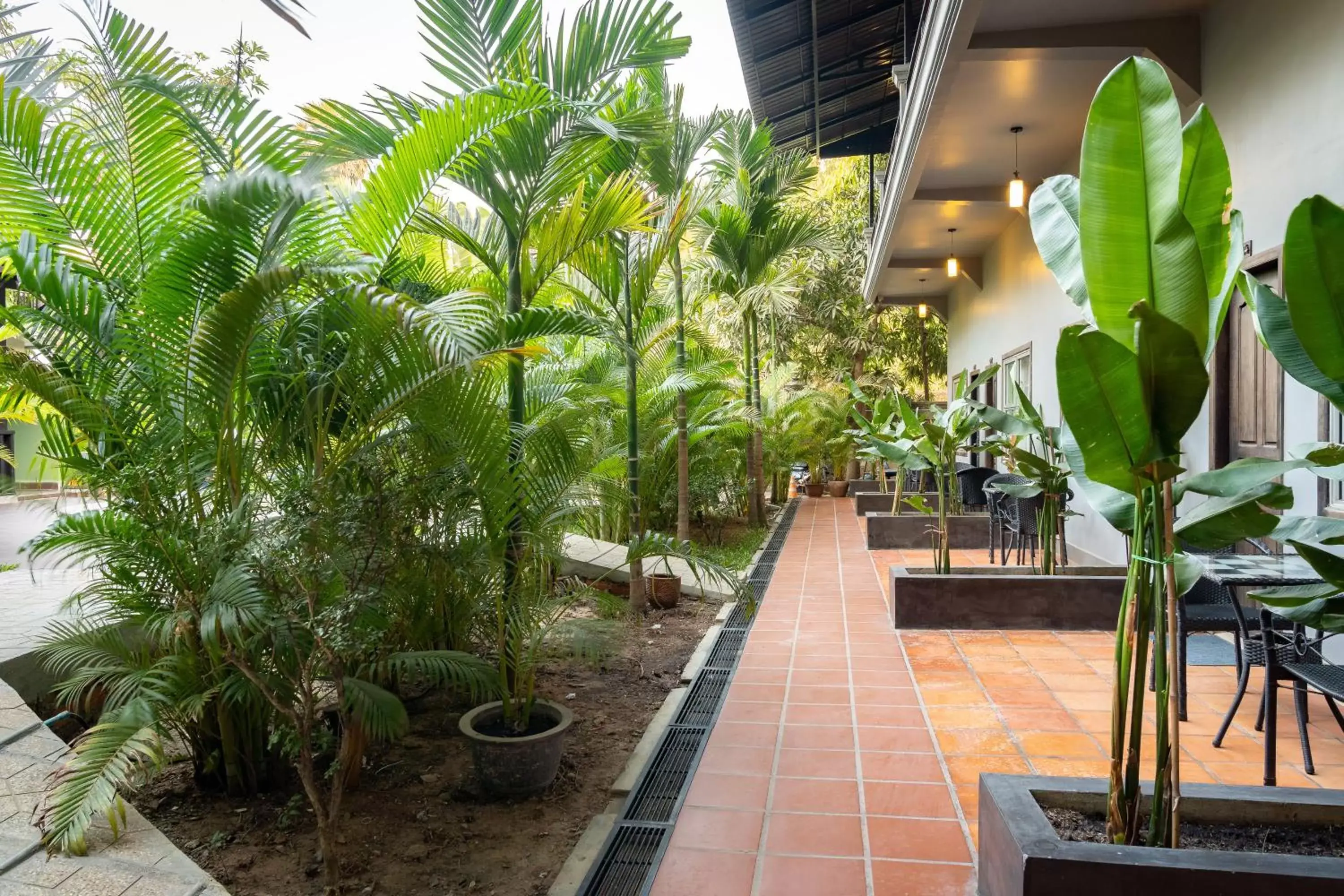 Garden in Reveal Angkor Hotel