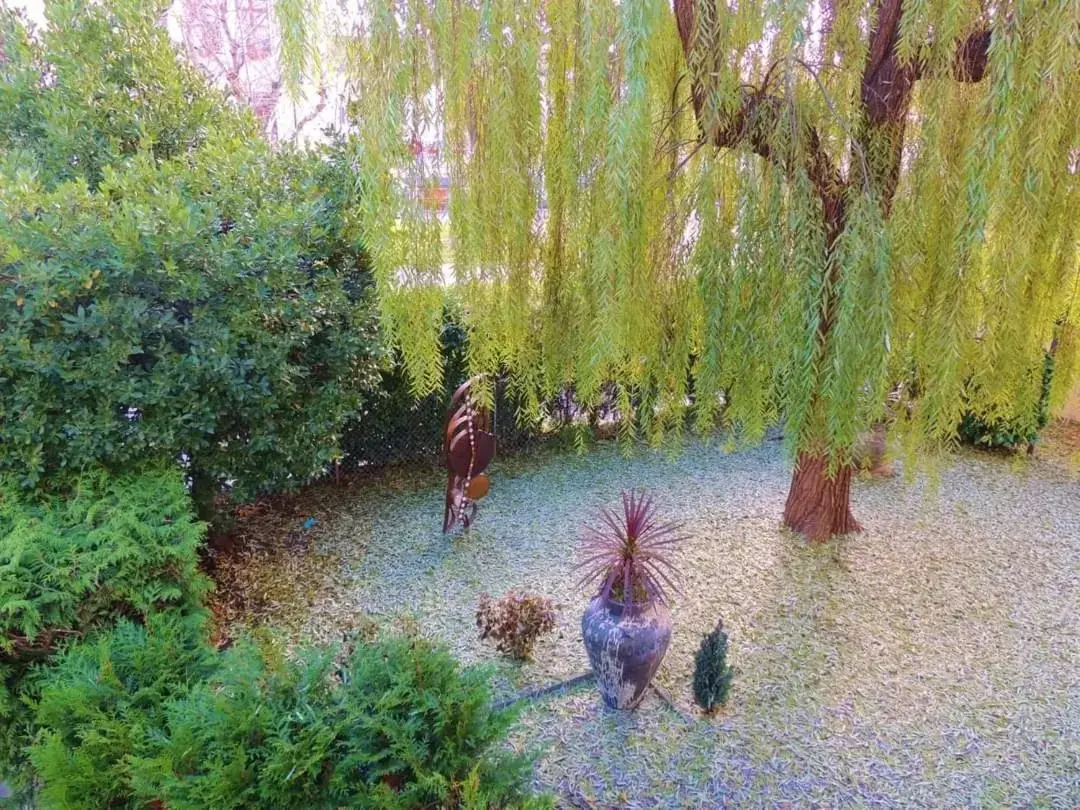 Garden in Hotel des Horlogers