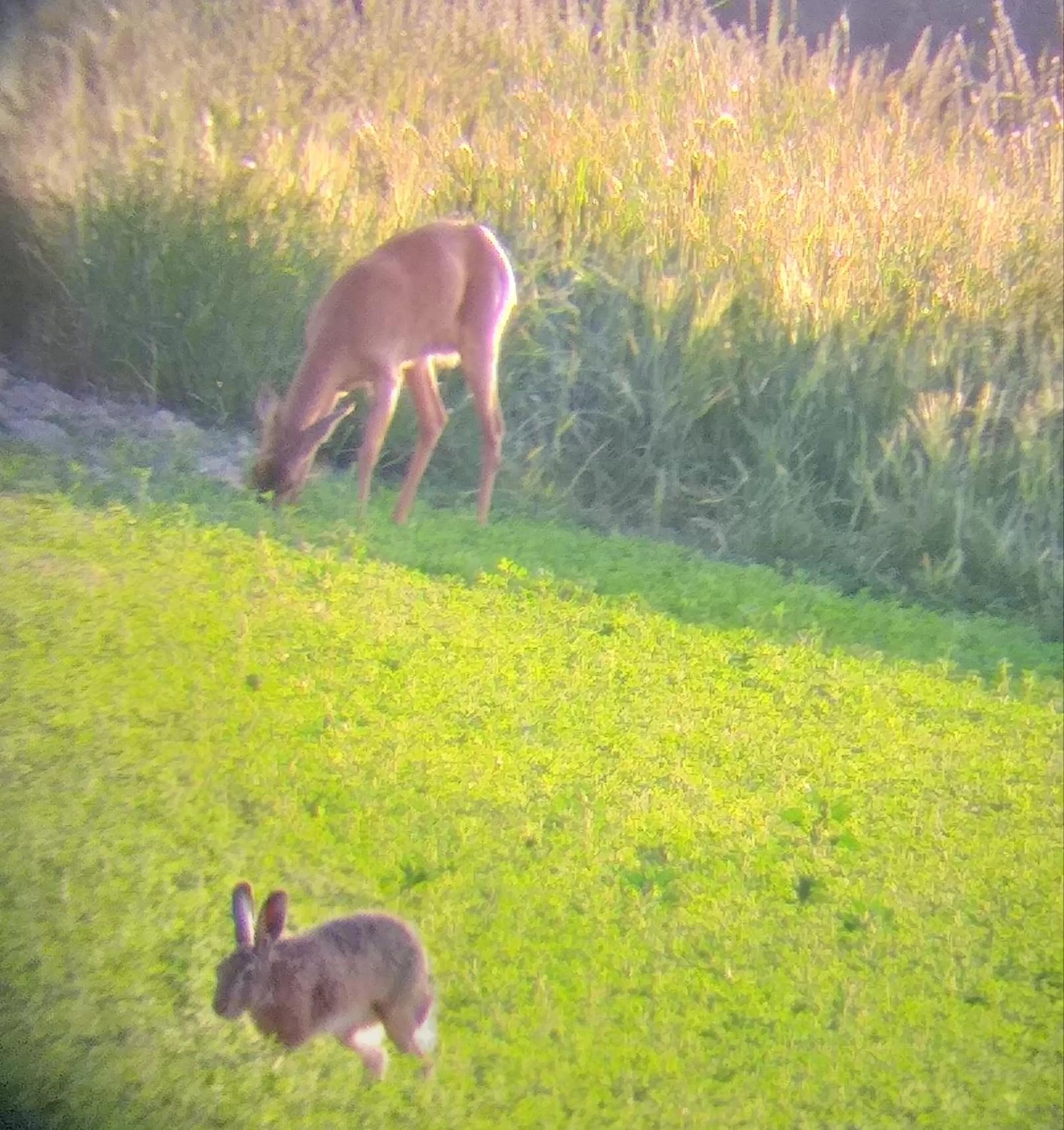 Natural landscape in La BerryCurienne proche du Zoo de Beauval Saint-Aignan avec SDB, WC ET SPA PRIVATIF pour chaque chambre