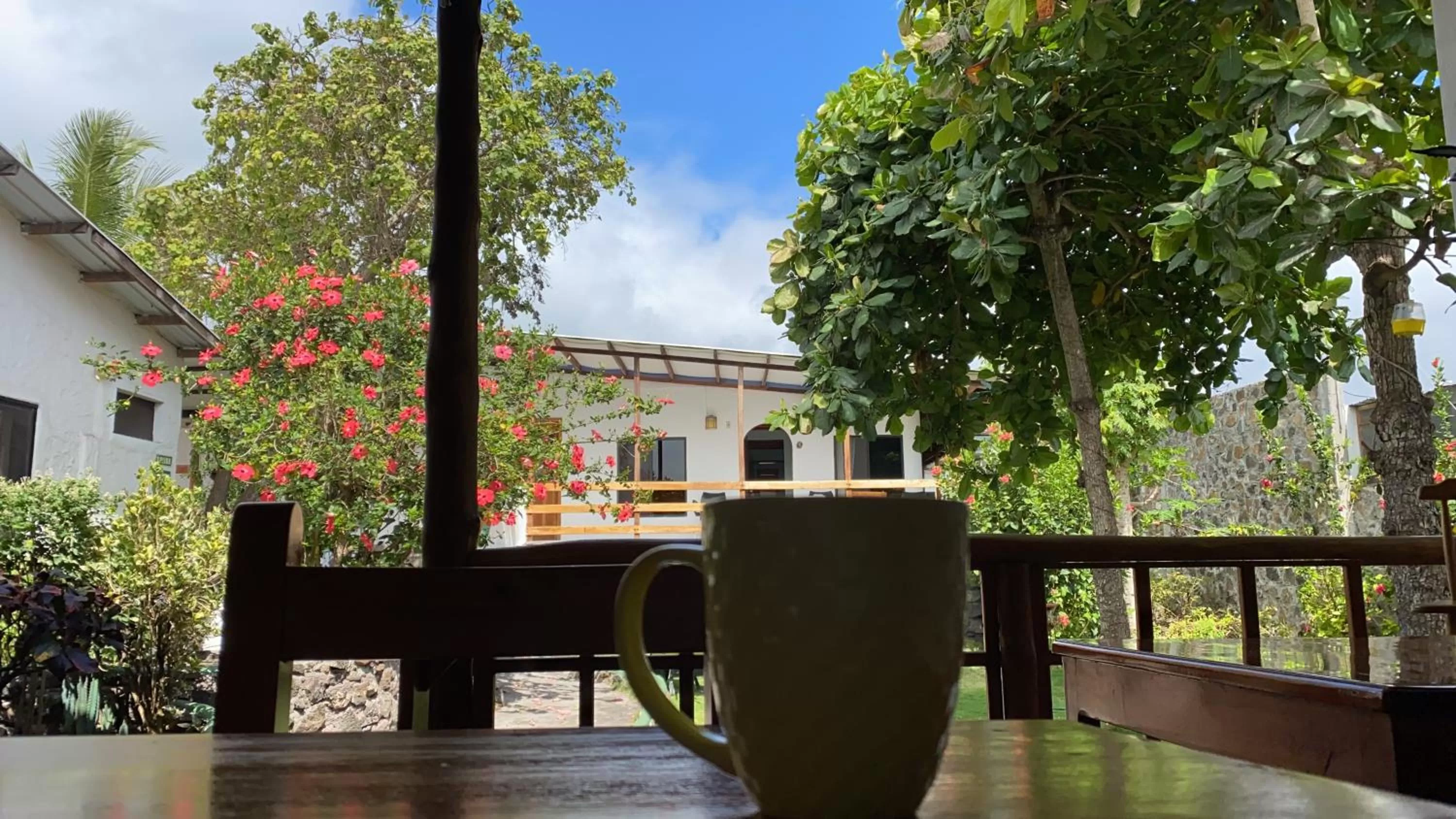 Restaurant/places to eat in La Peregrina Galapagos B&B