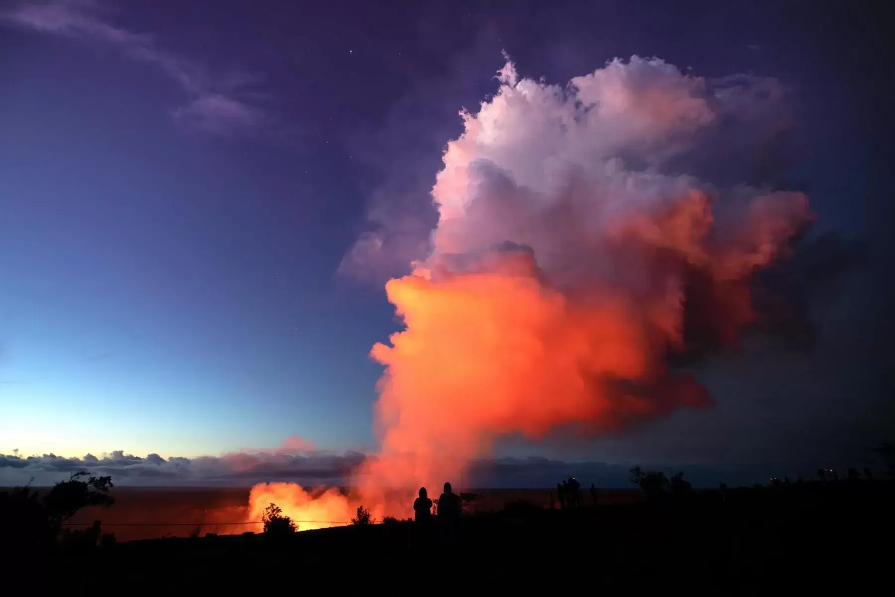 Natural landscape in Kilauea House