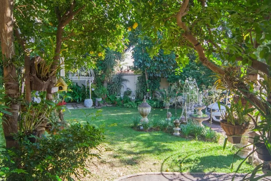 Garden in 79 On Ridge