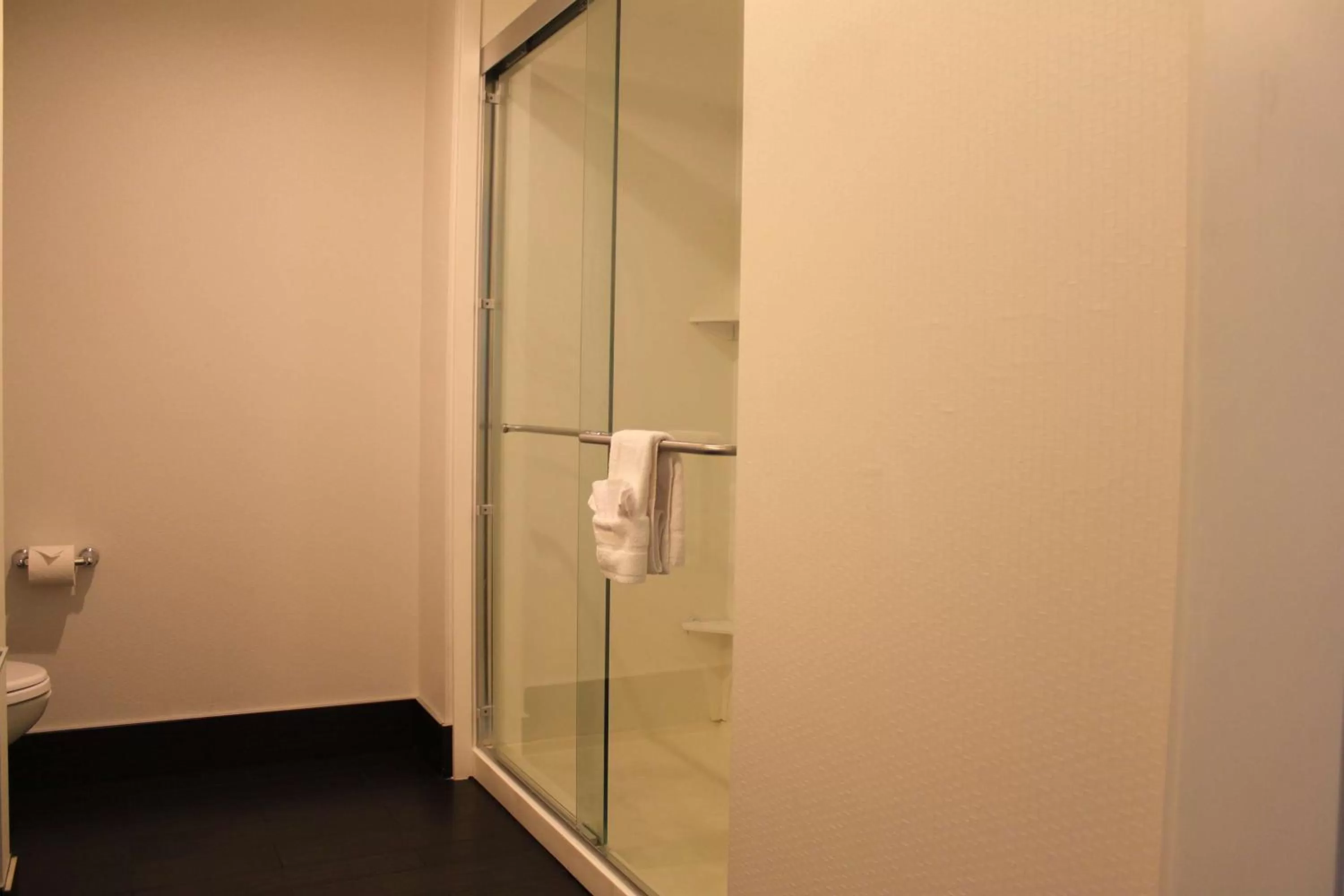 Bathroom in Hampton Inn Bainbridge, GA