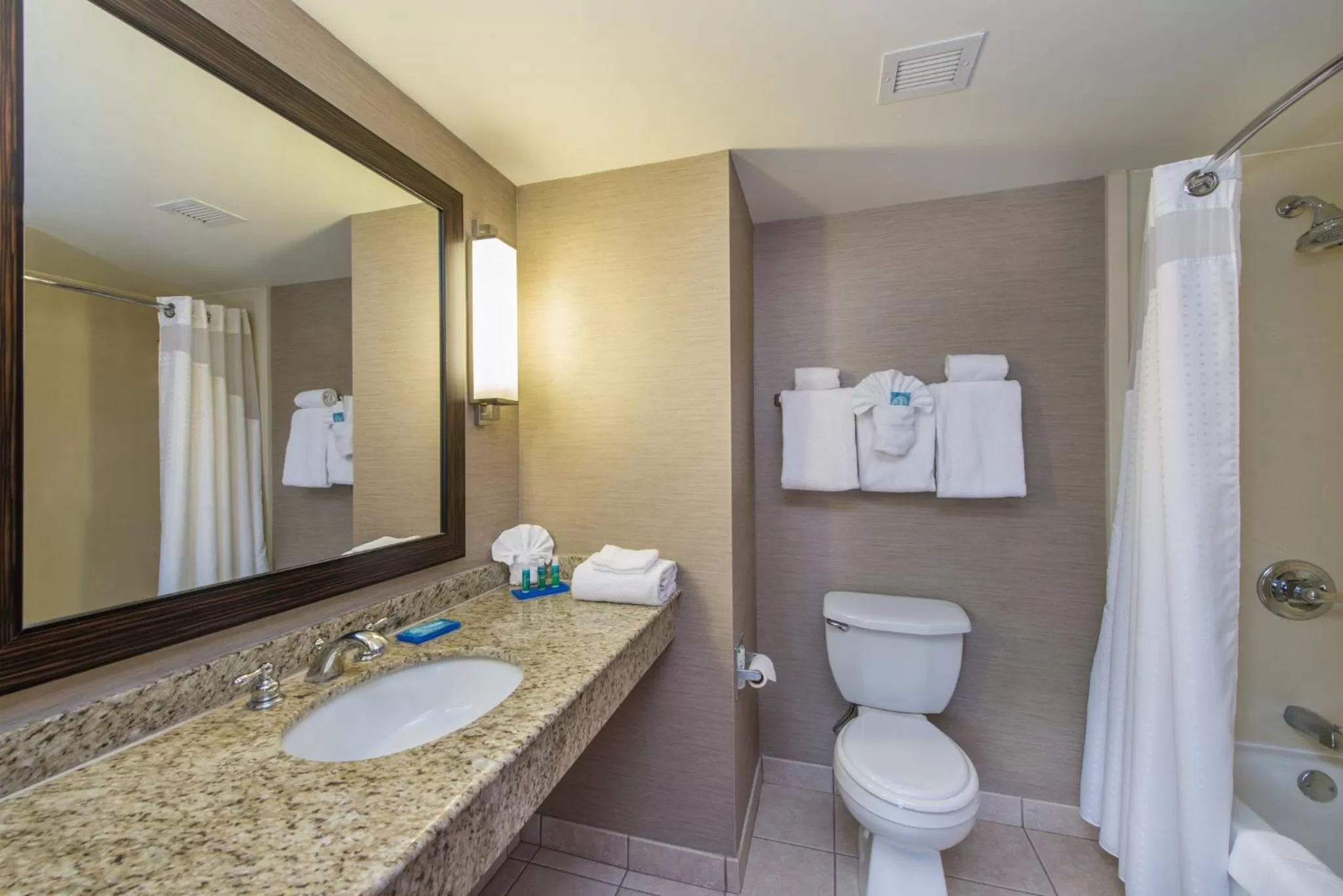 Bathroom in Holiday Inn Express Hotel & Suites Auburn by IHG
