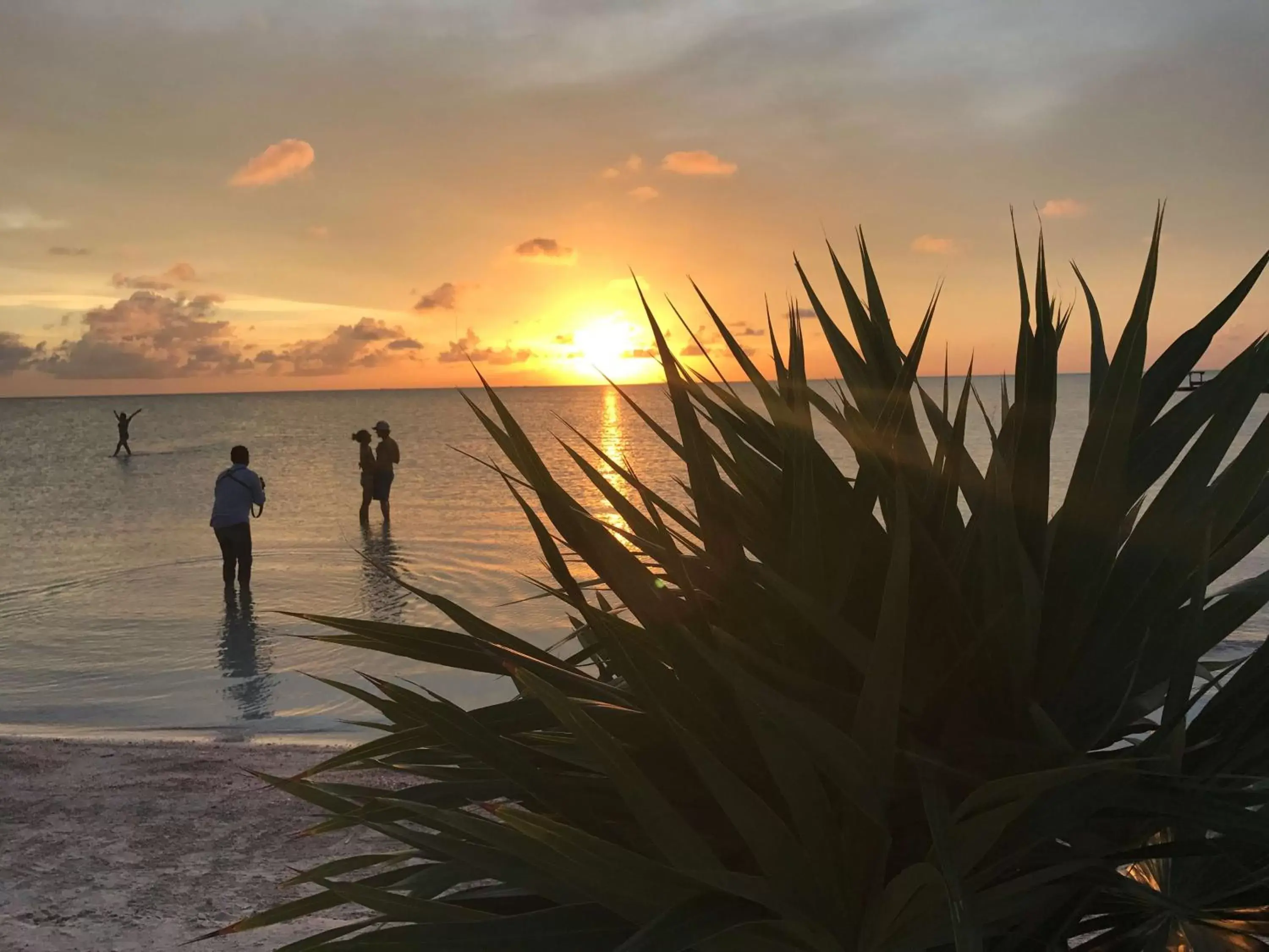 Beach in Mahogany Bay Resort and Beach Club, Curio Collection