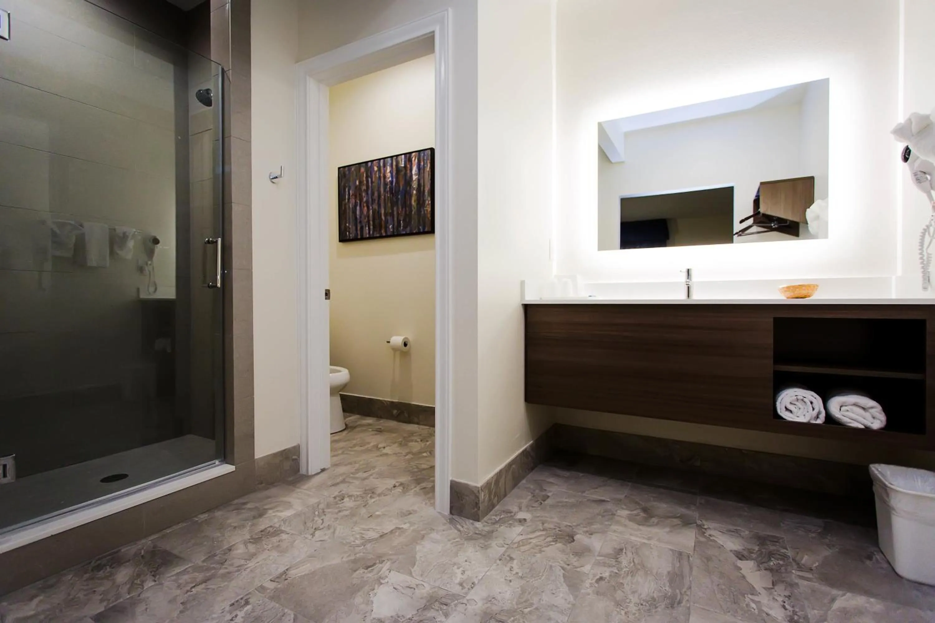 Shower in Palace Inn Blue US-59 & Gessner