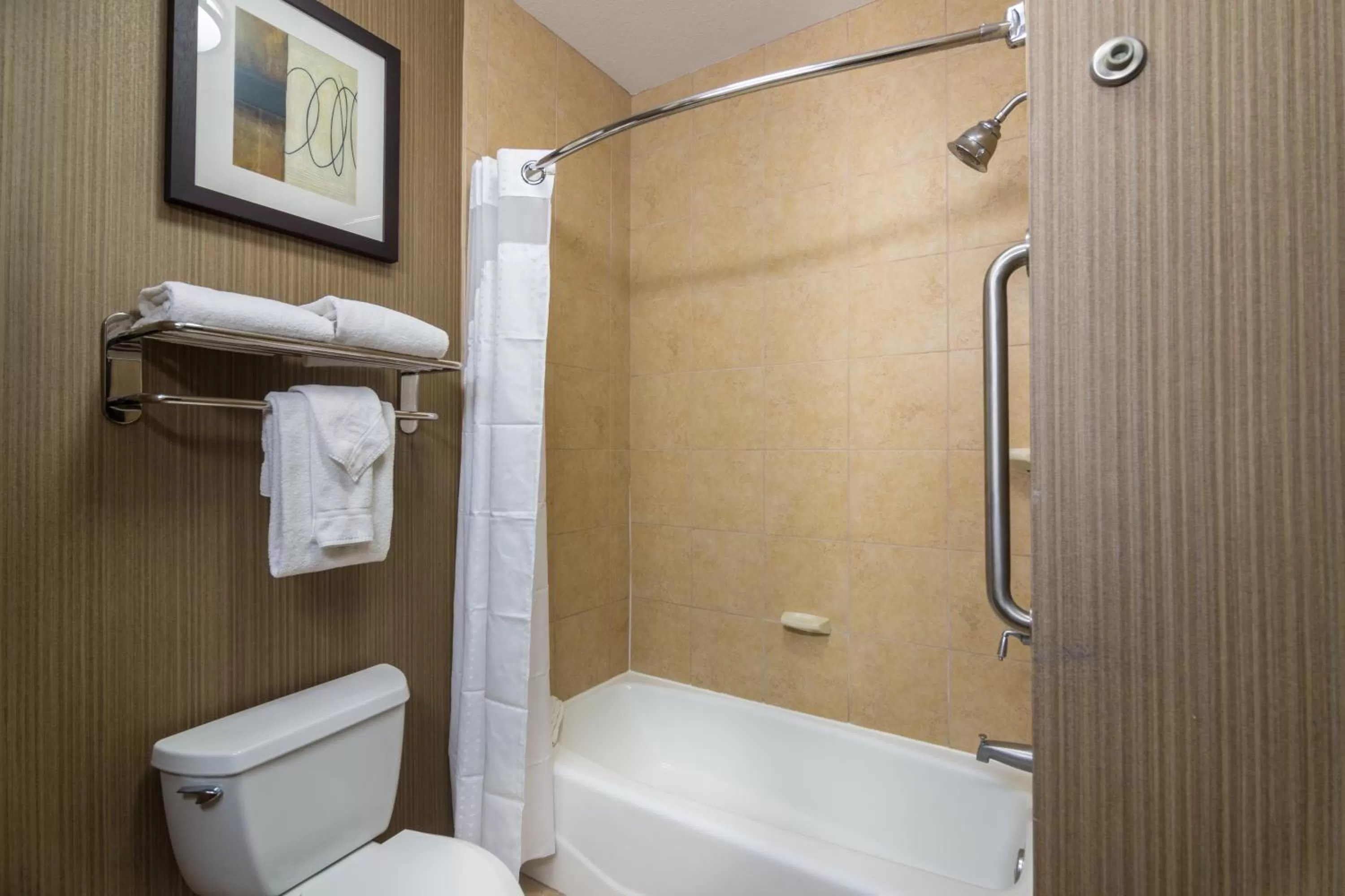 Bathroom in Holiday Inn Arlington Northeast by IHG