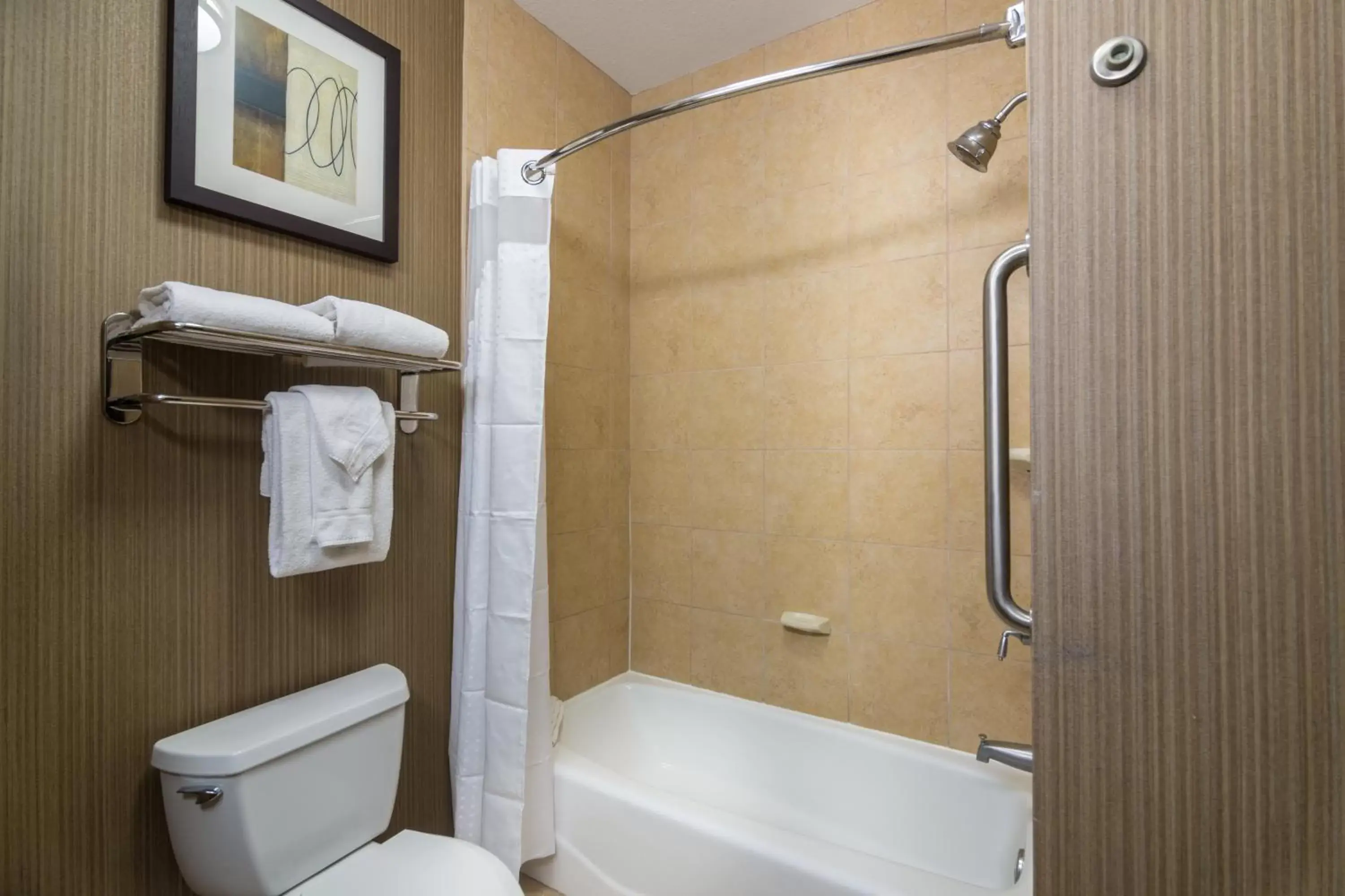 Bathroom in Holiday Inn Arlington Northeast, an IHG Hotel
