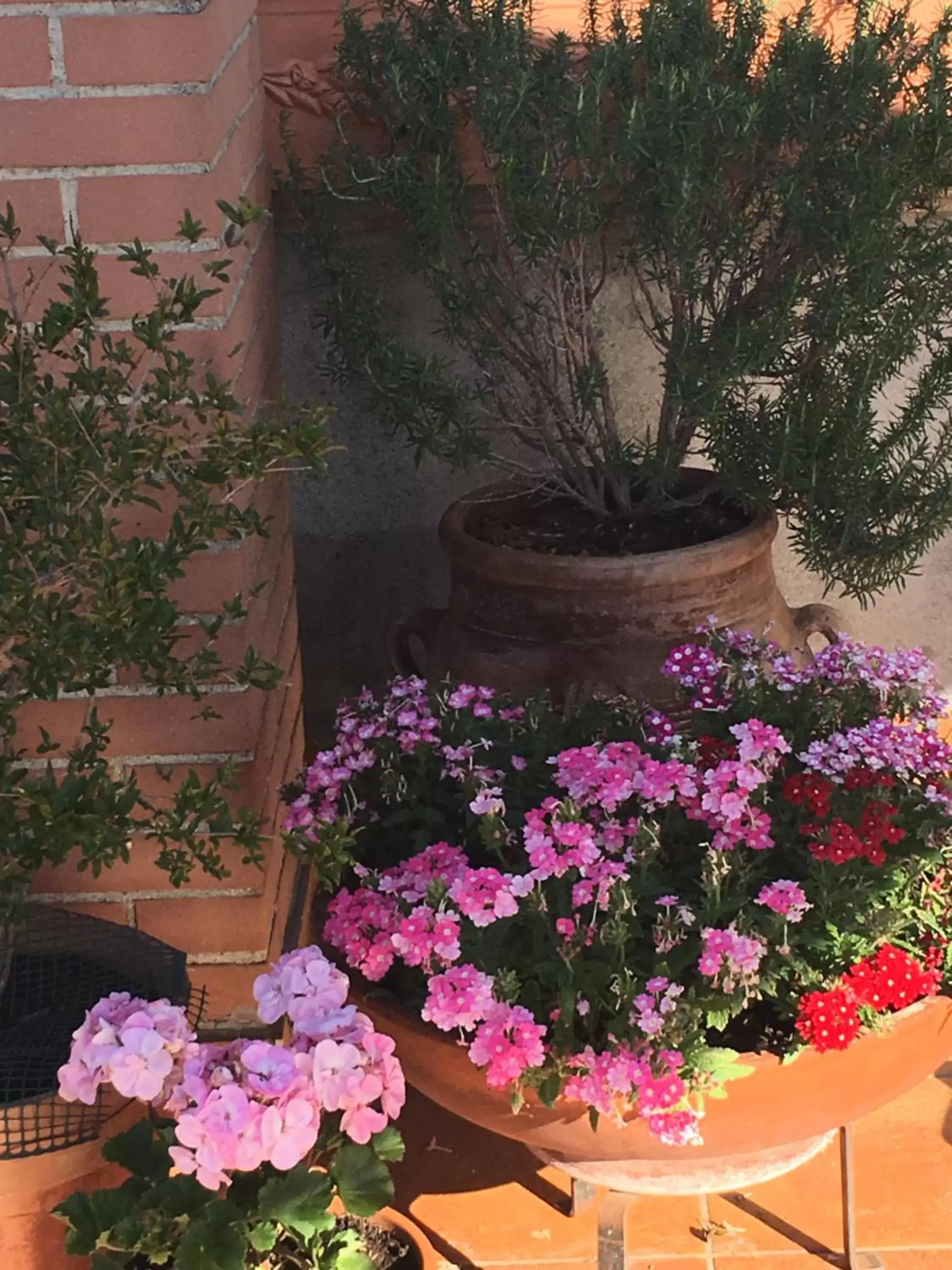 Balcony/Terrace in B&B MontAlbano