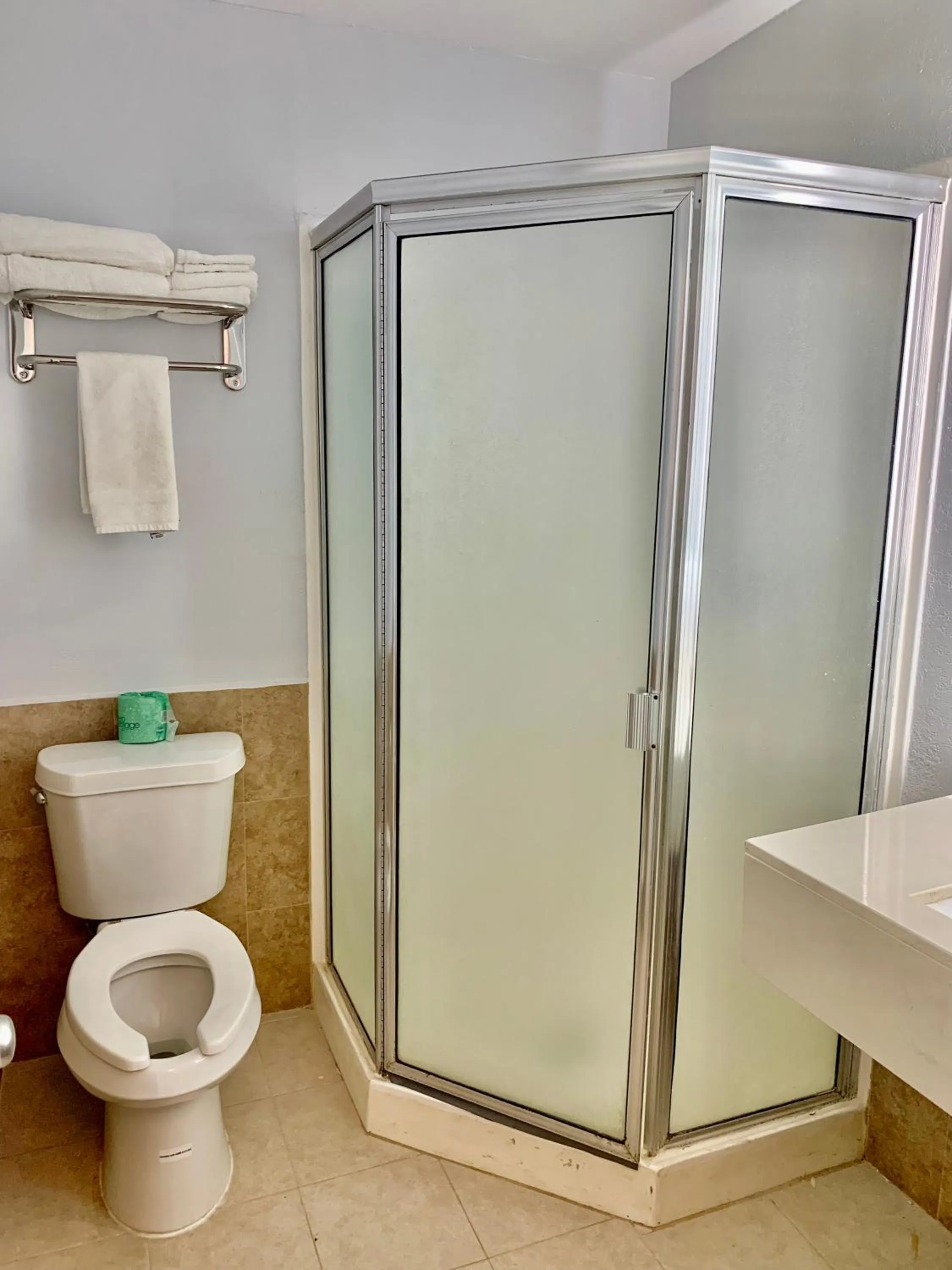 Rodeway Inn Midland South