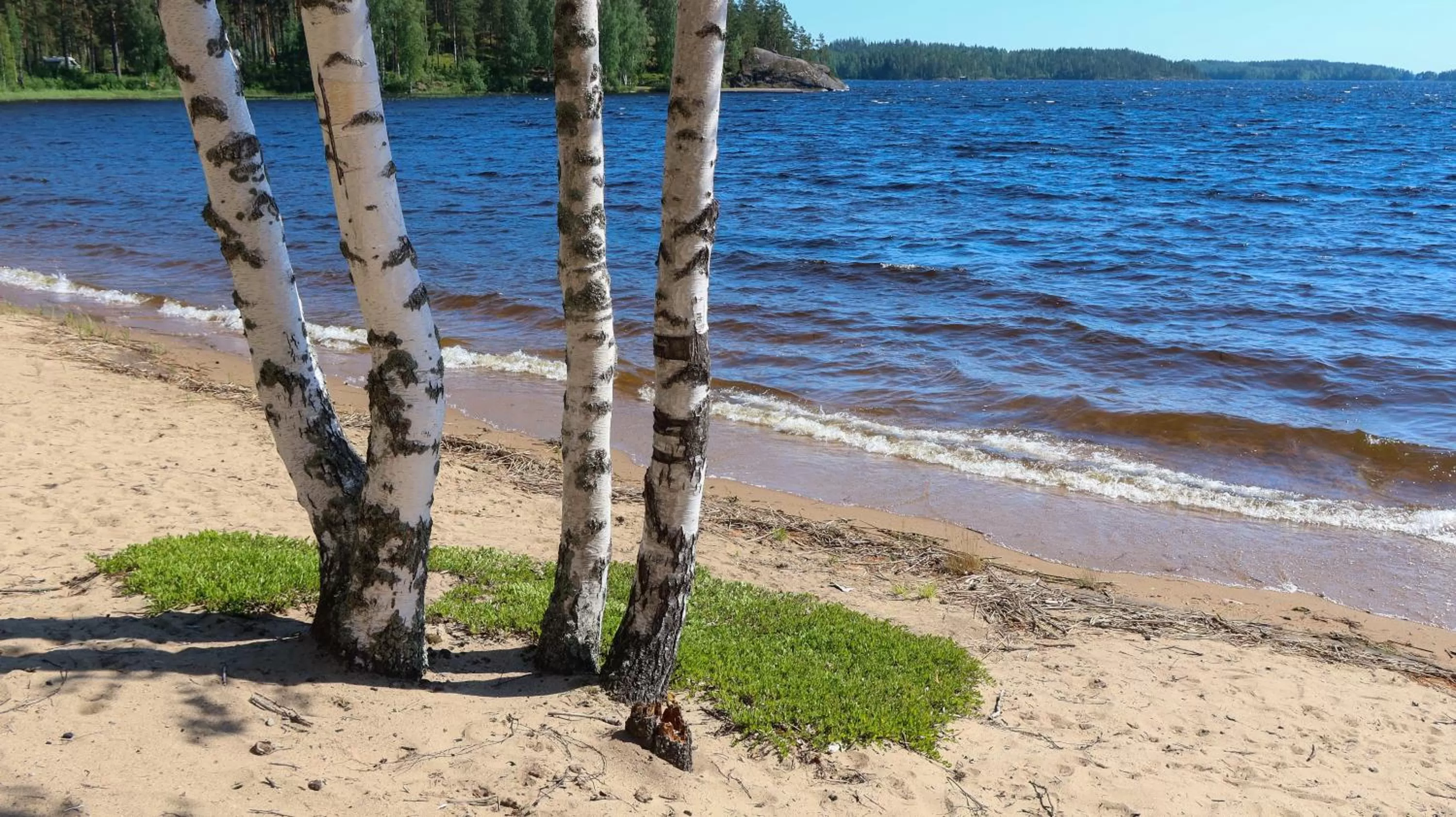 Natural landscape, Beach in Pistohiekka Resort