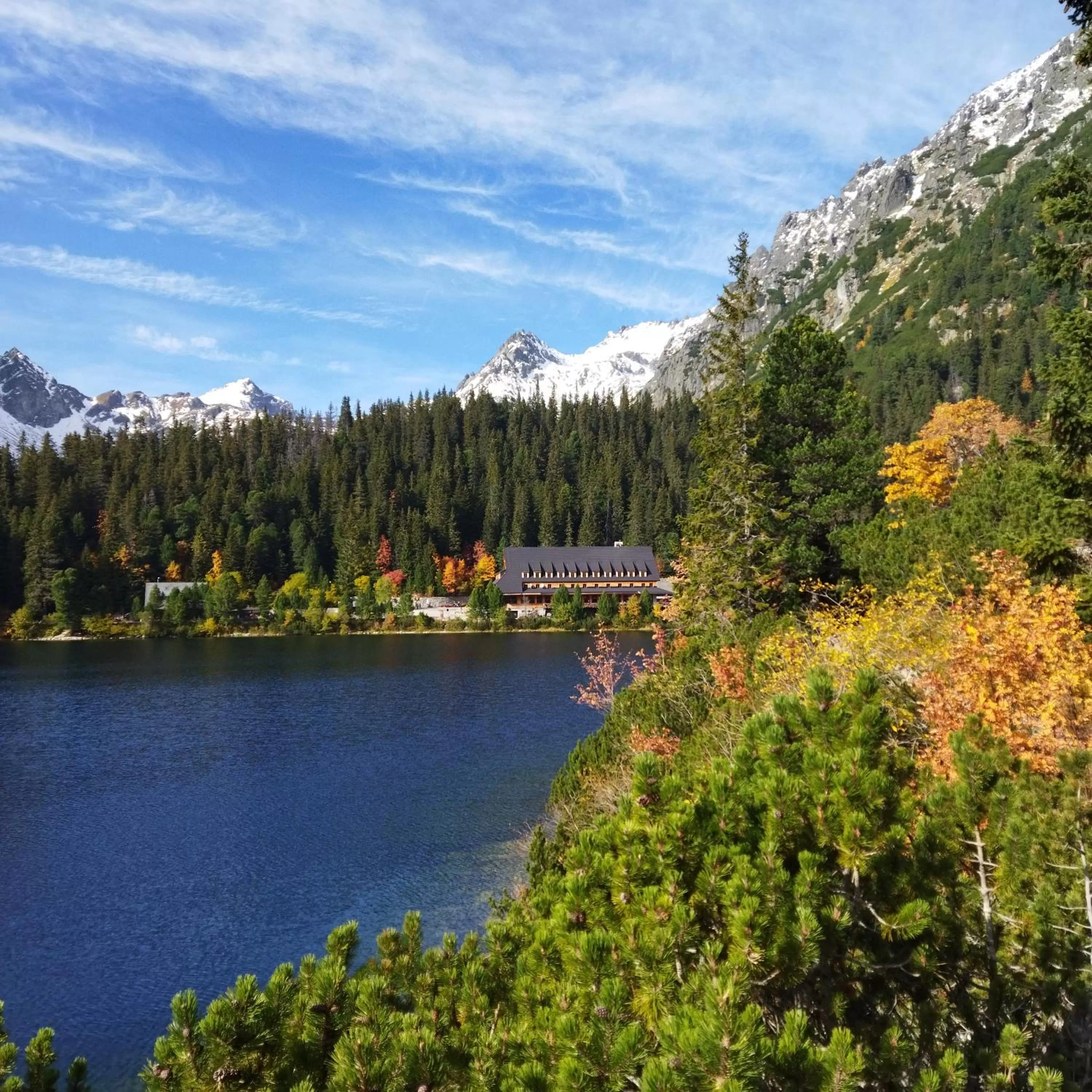 Nearby landmark in Lucky Cat