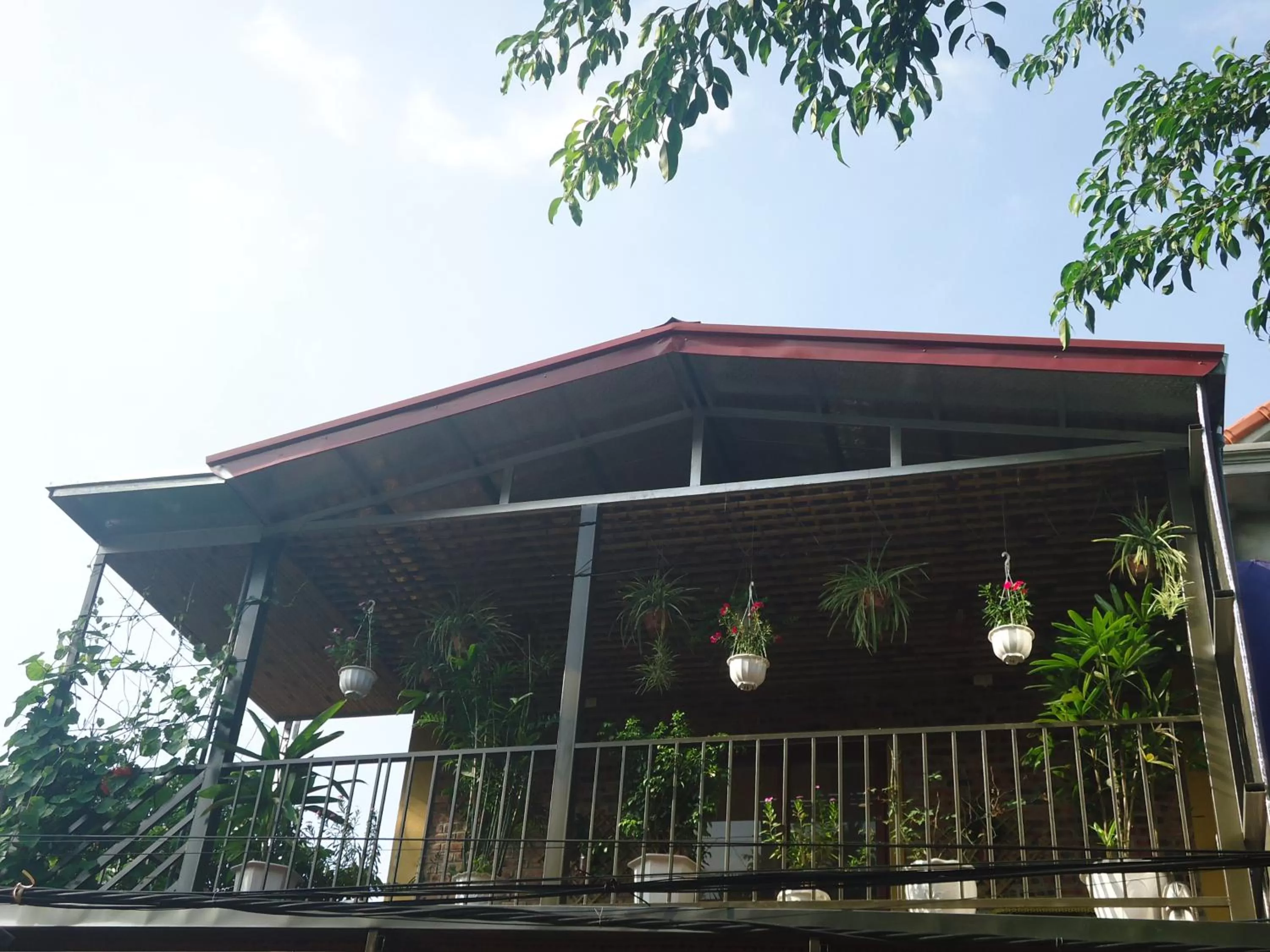 Balcony/Terrace in Green Space Homestay