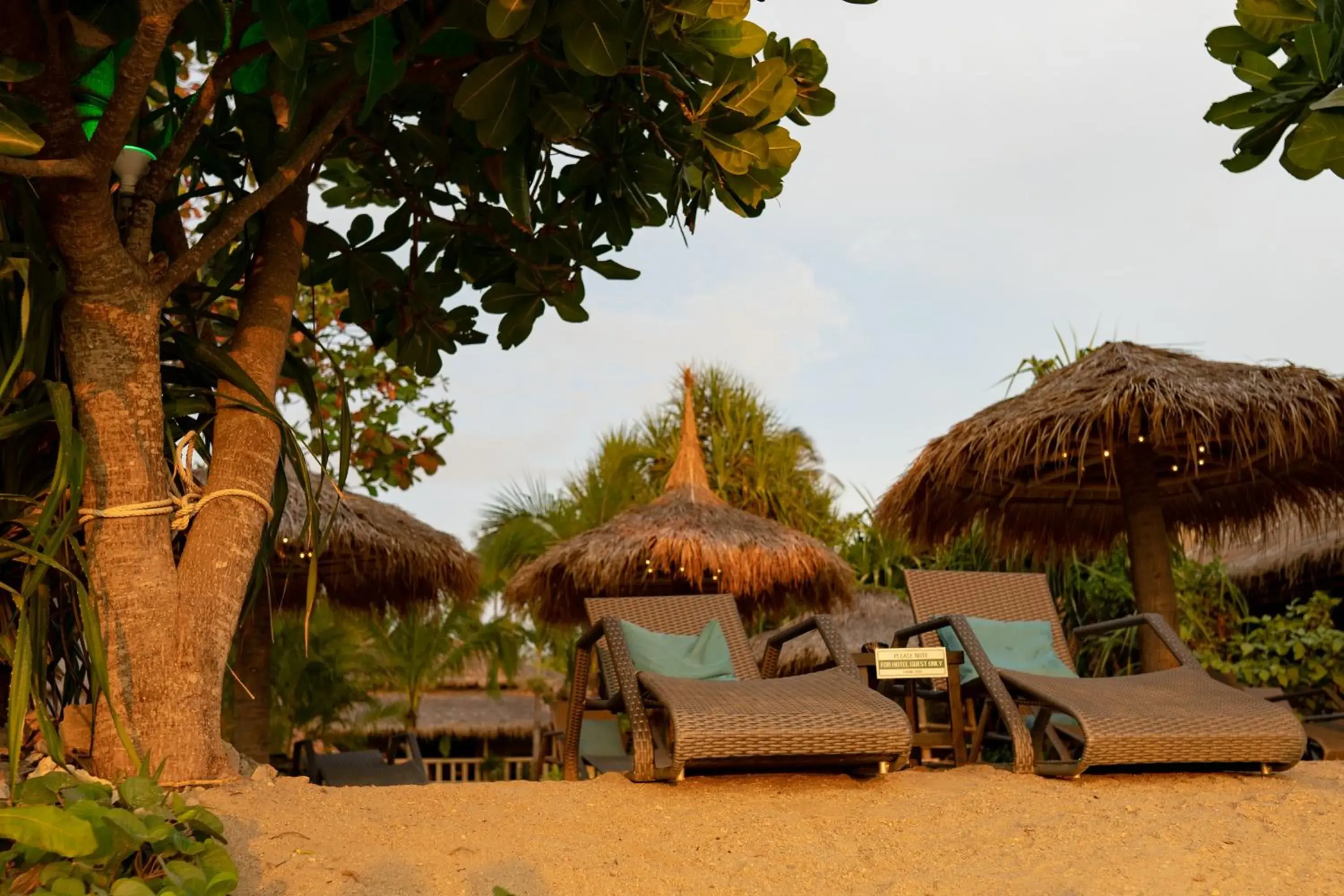 Beach in The Lazy Lodge