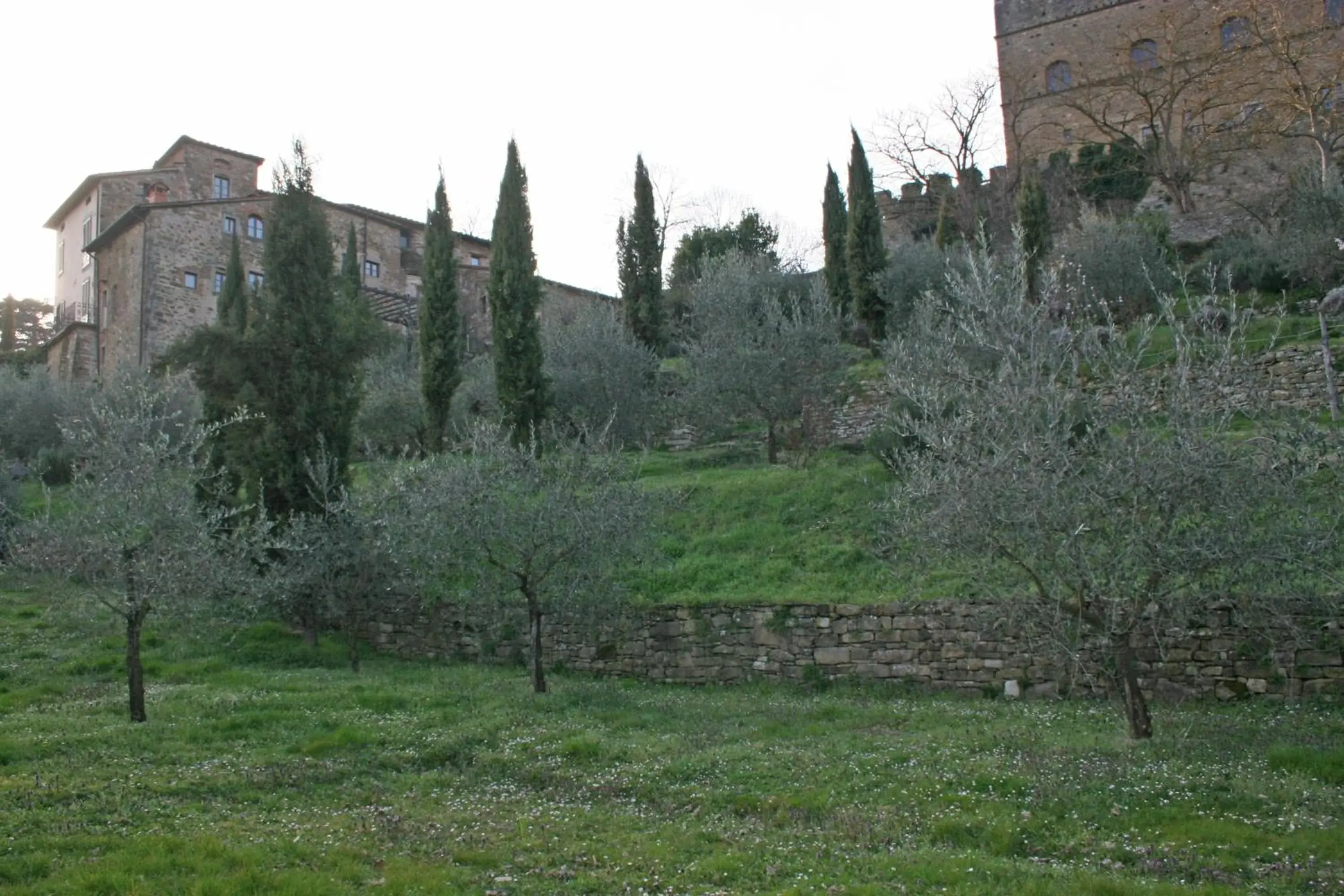 Natural landscape in Albergo San Lorenzo